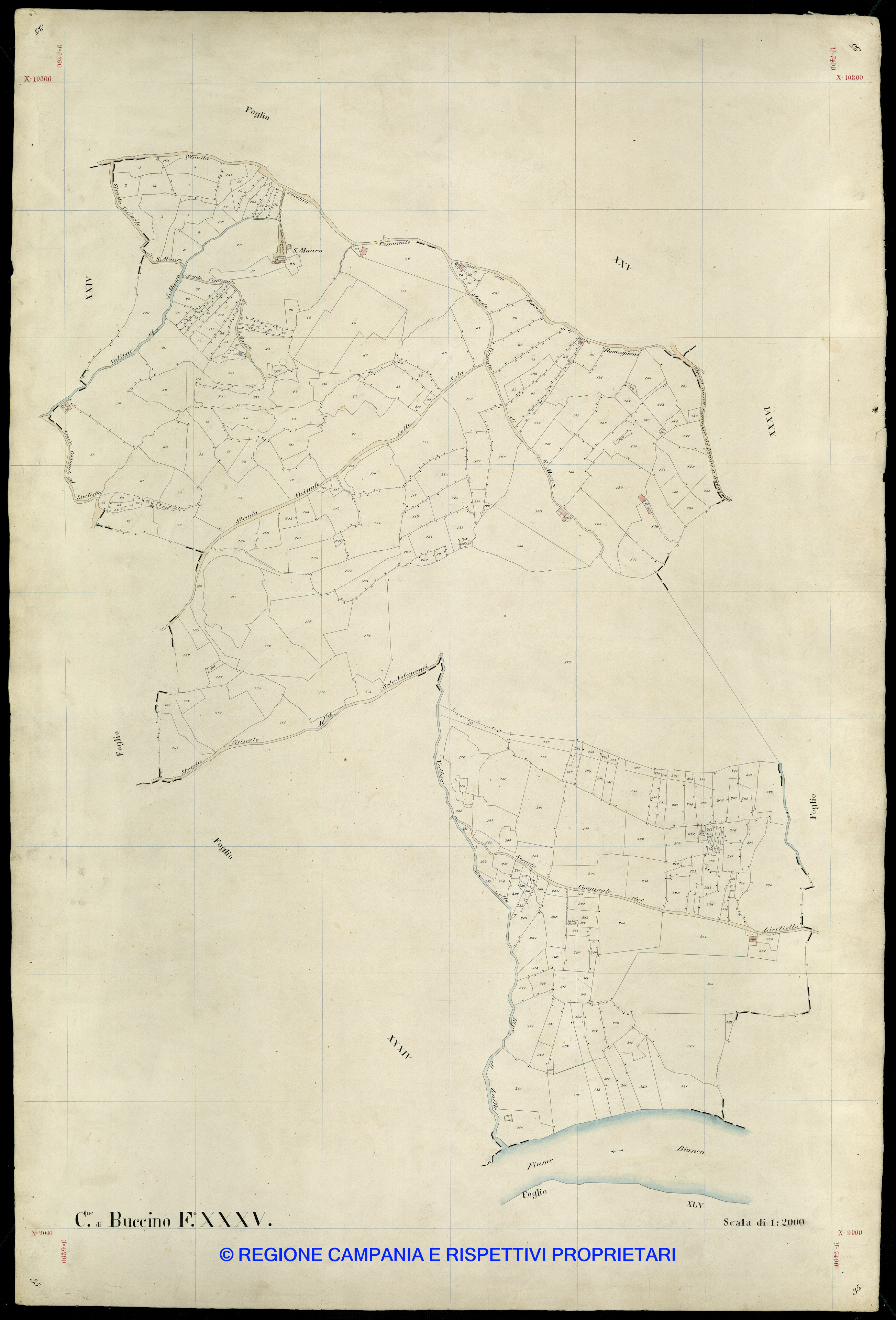 Mappa