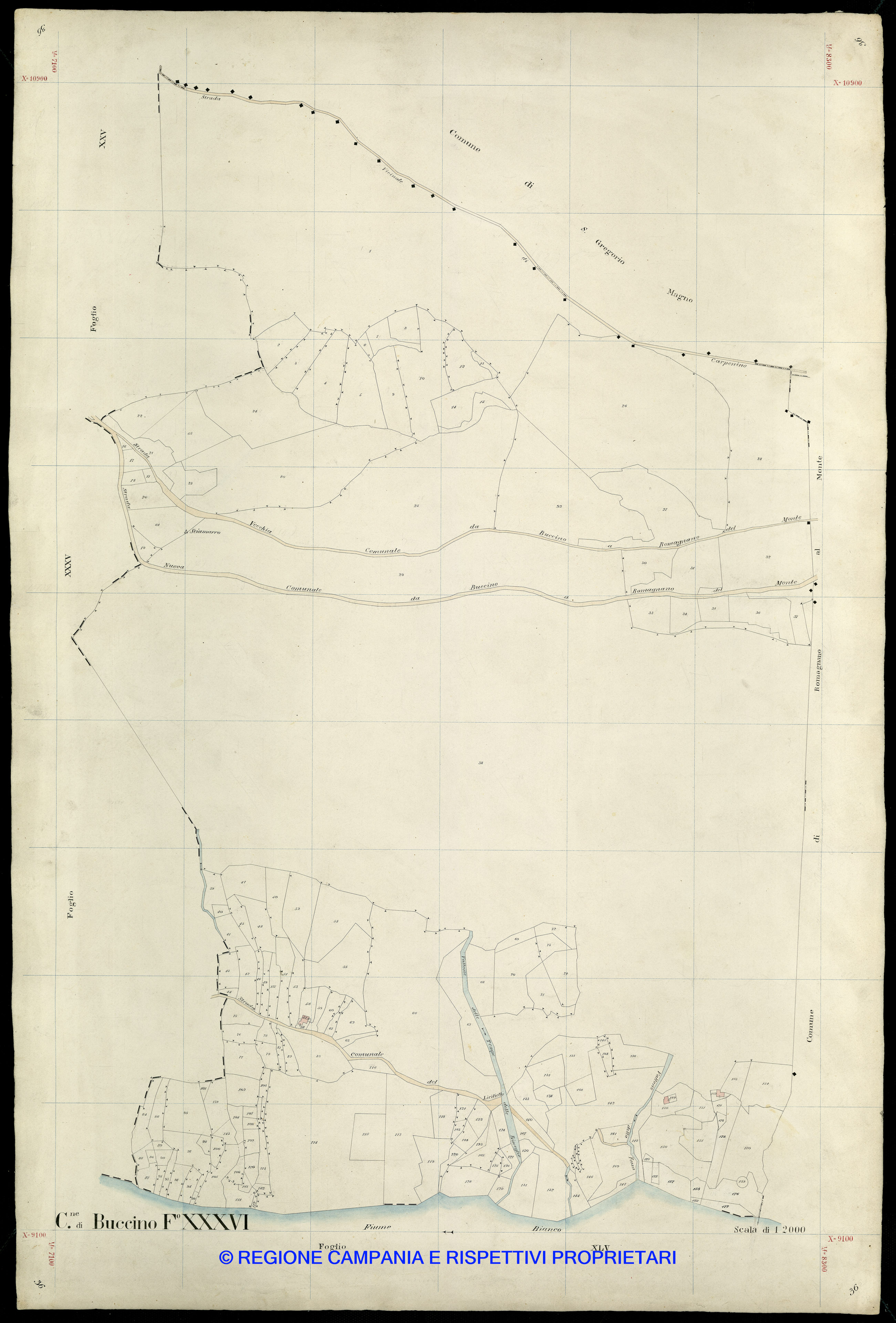 Mappa