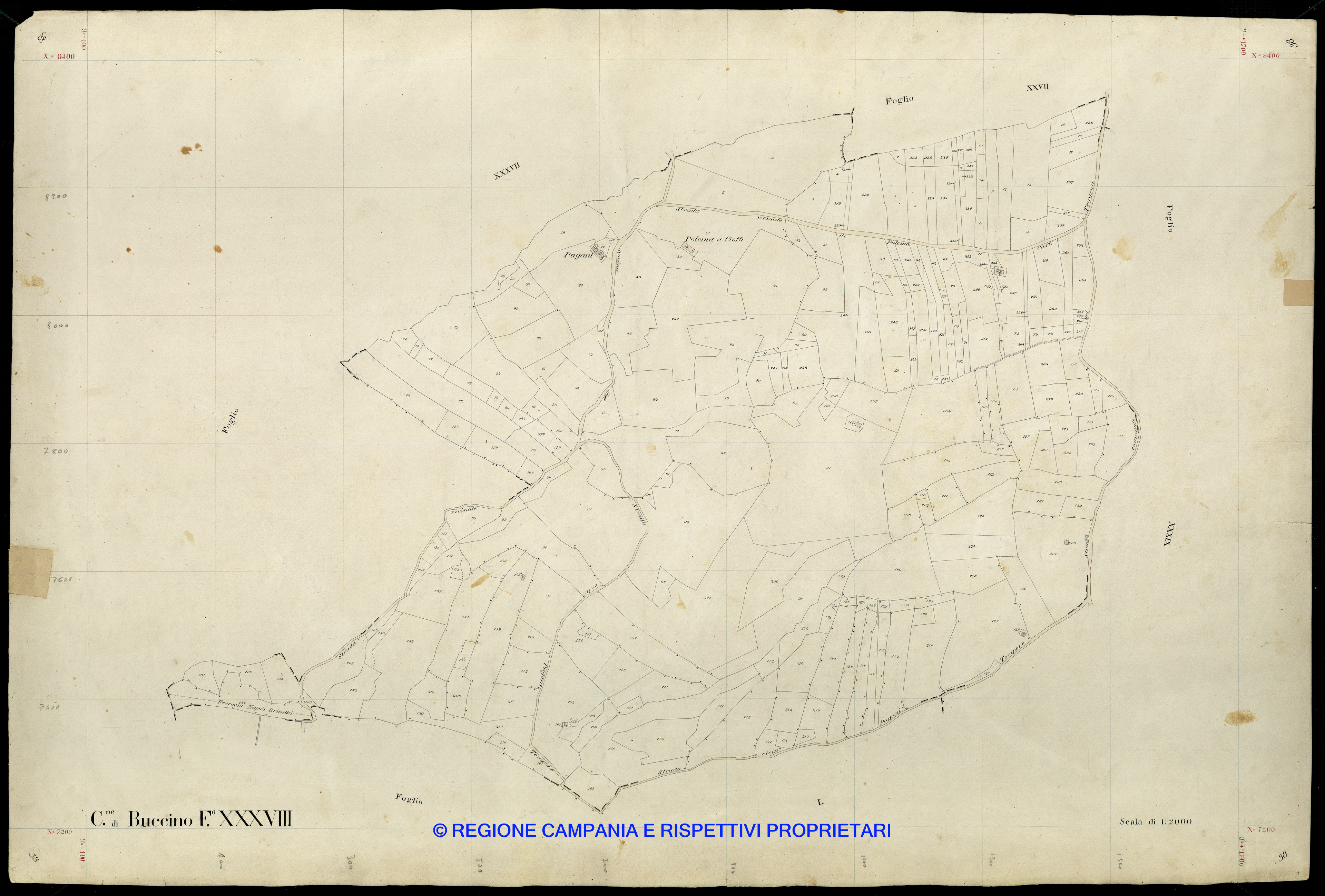 Mappa