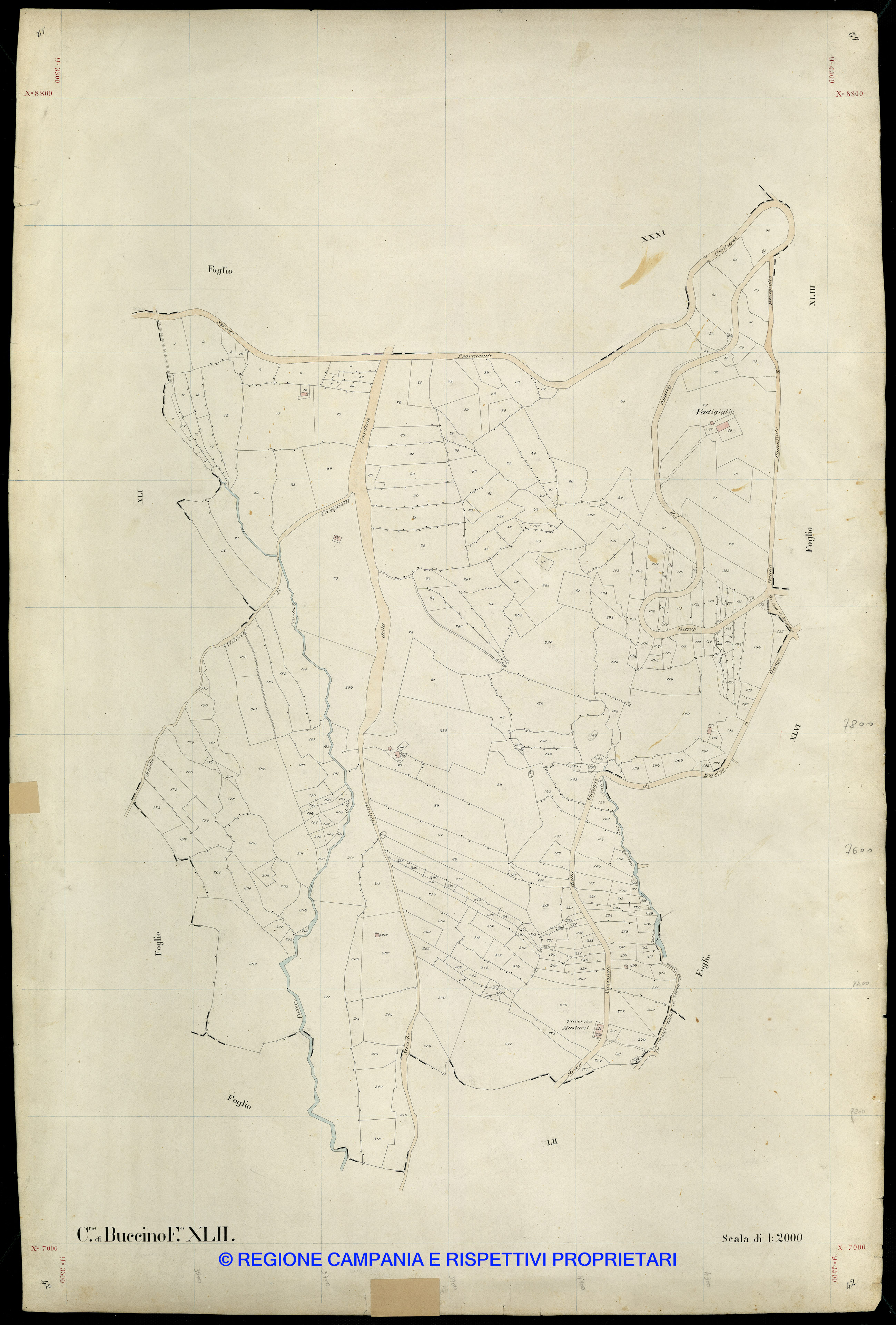Mappa