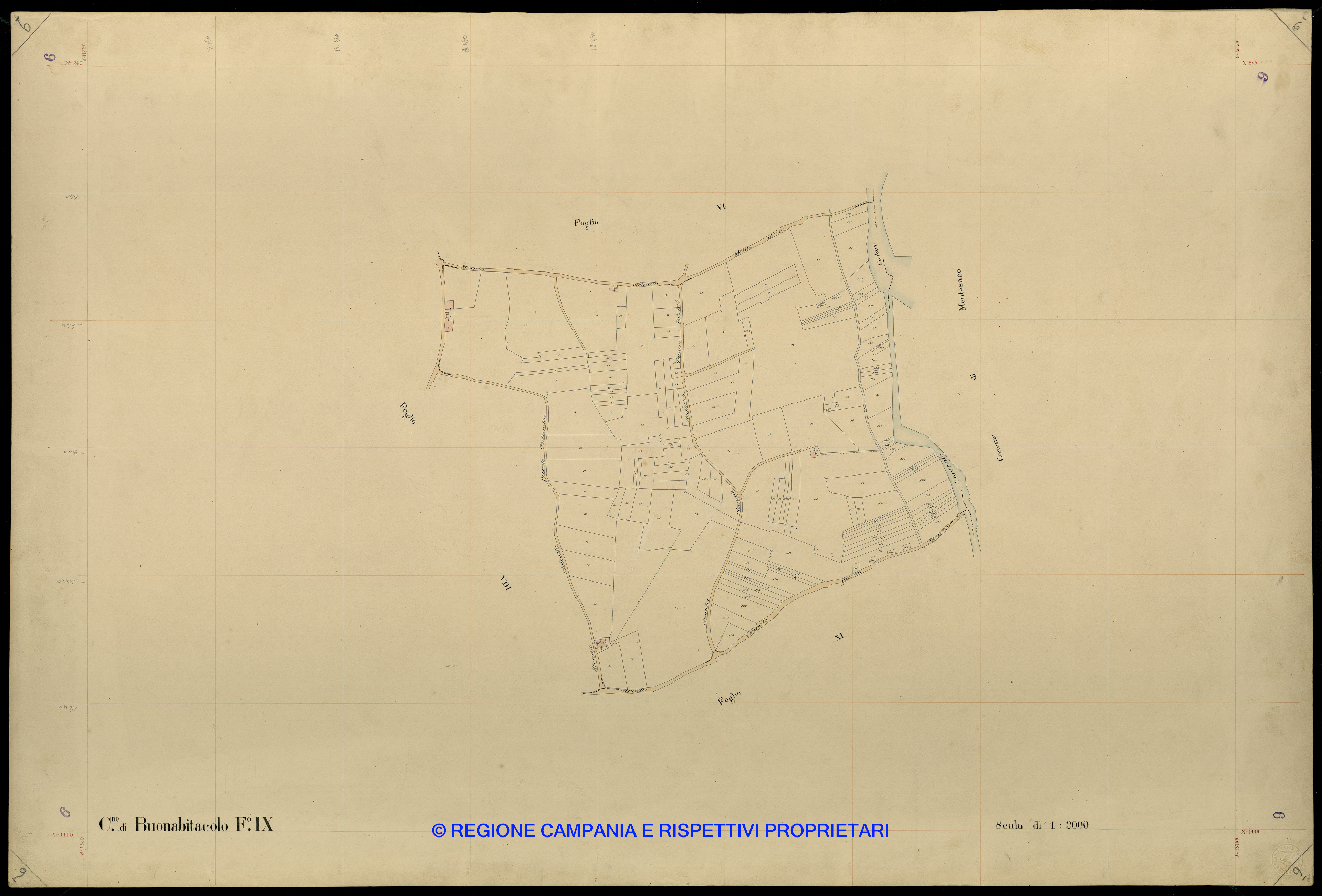 Mappa