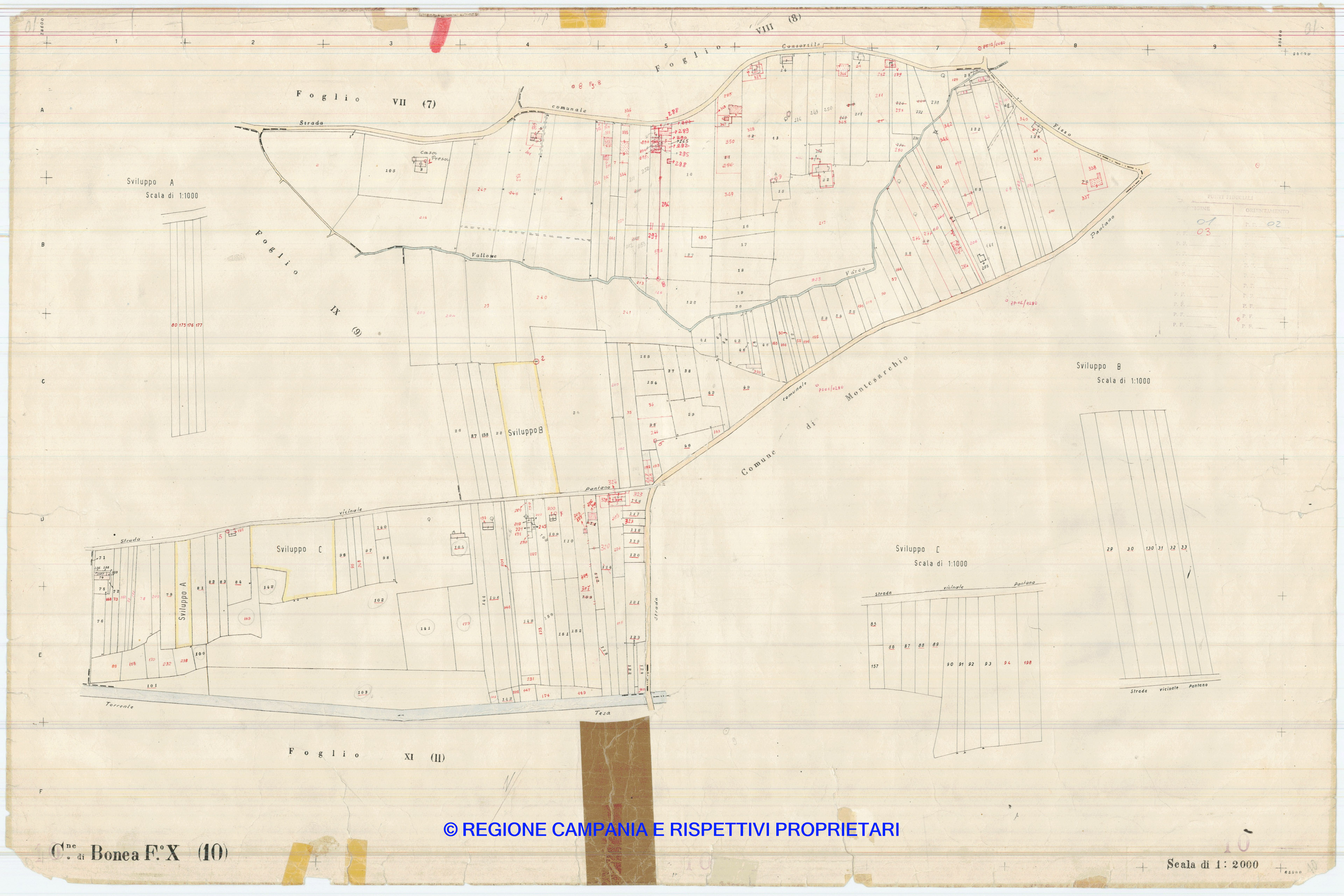Mappa