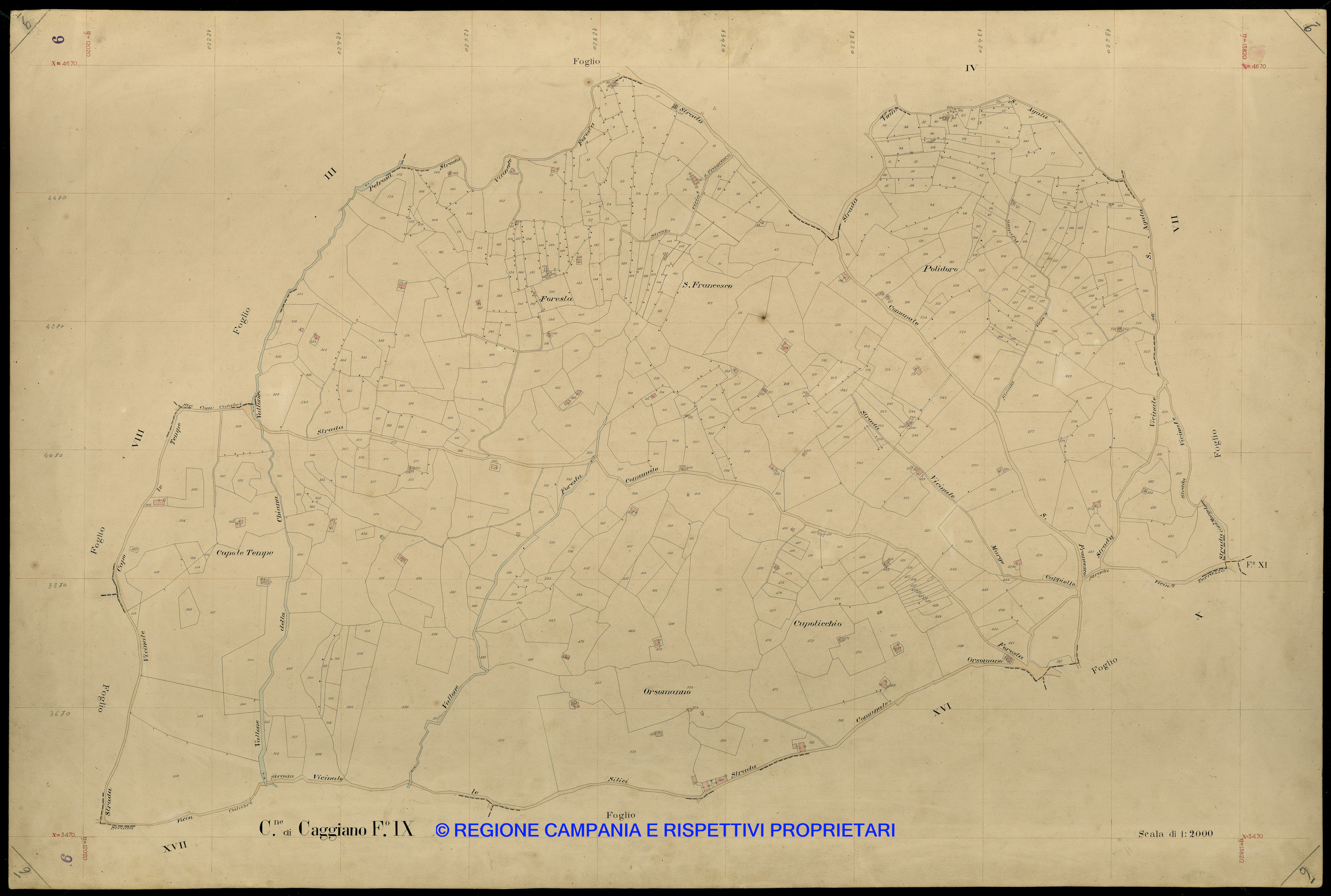 Mappa