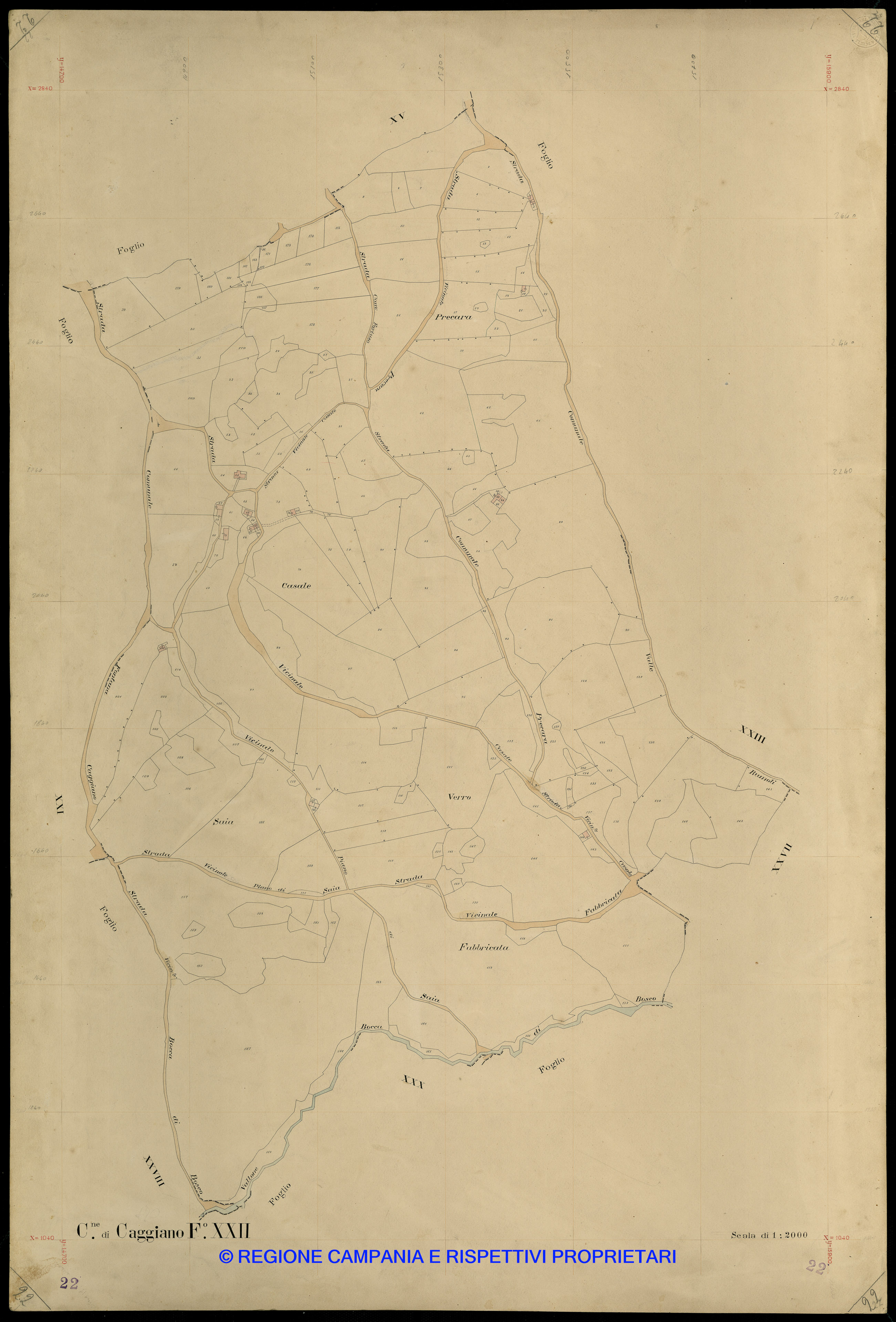 Mappa