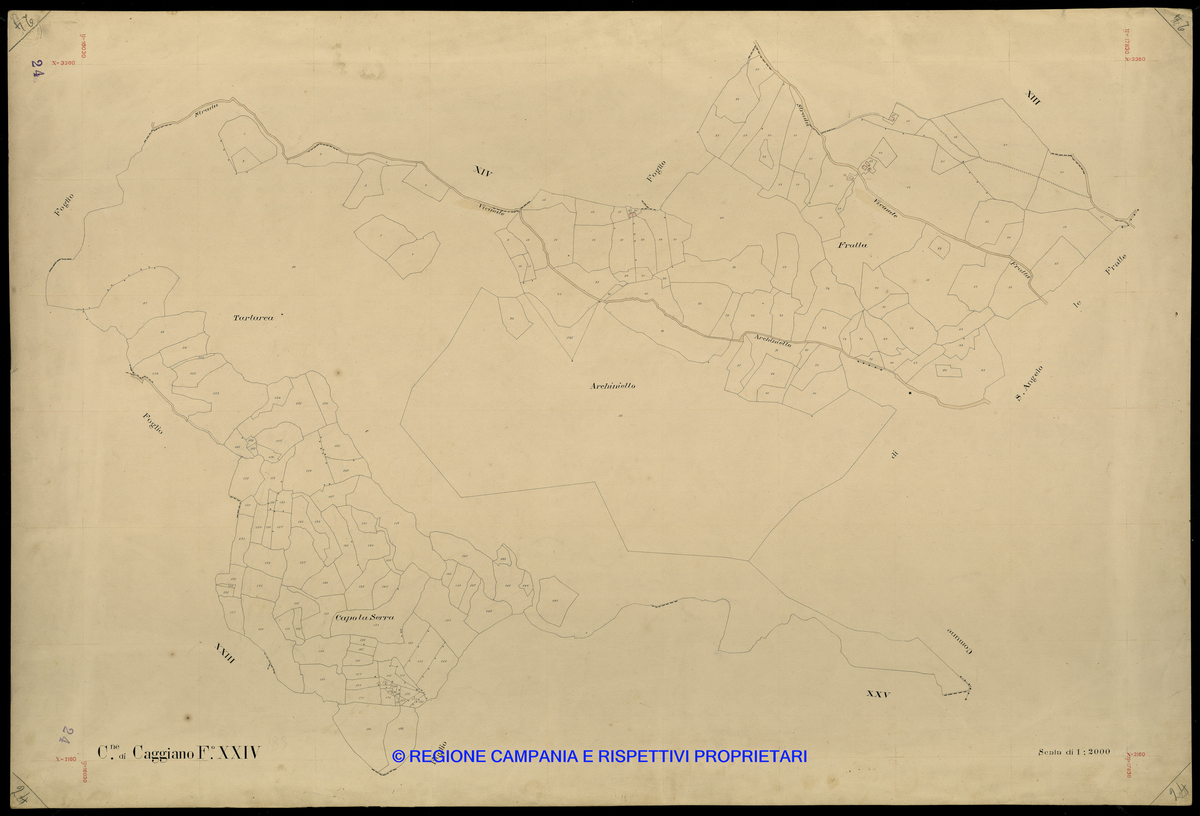 Mappa