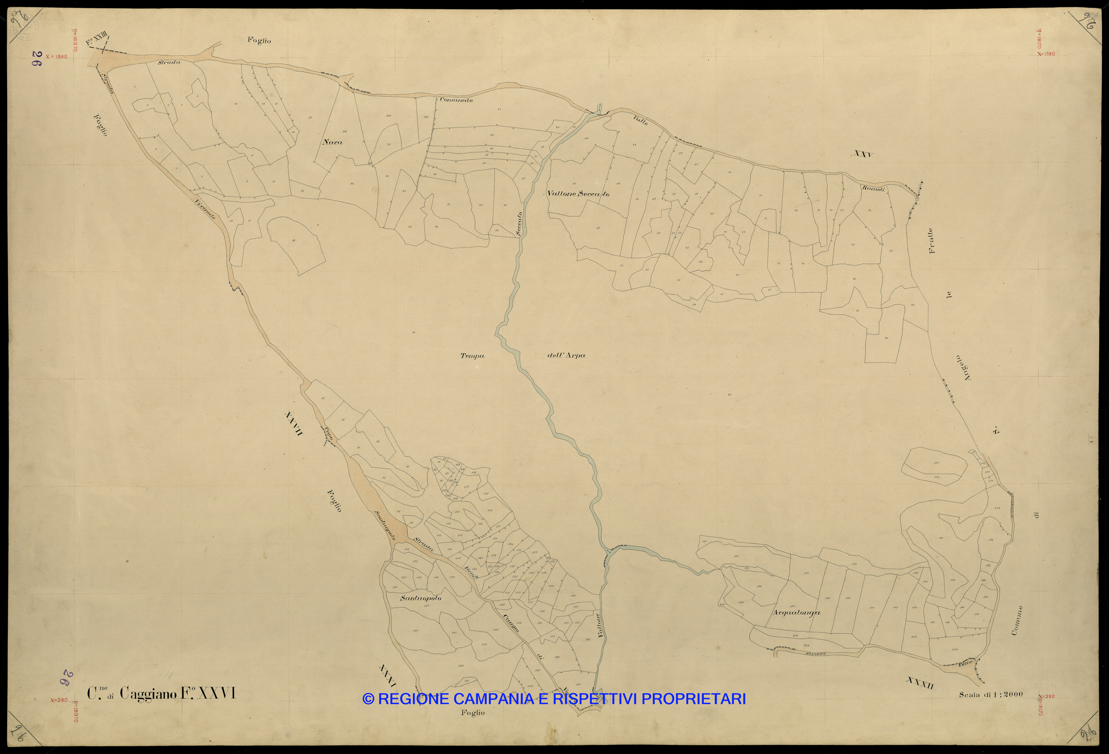 Mappa