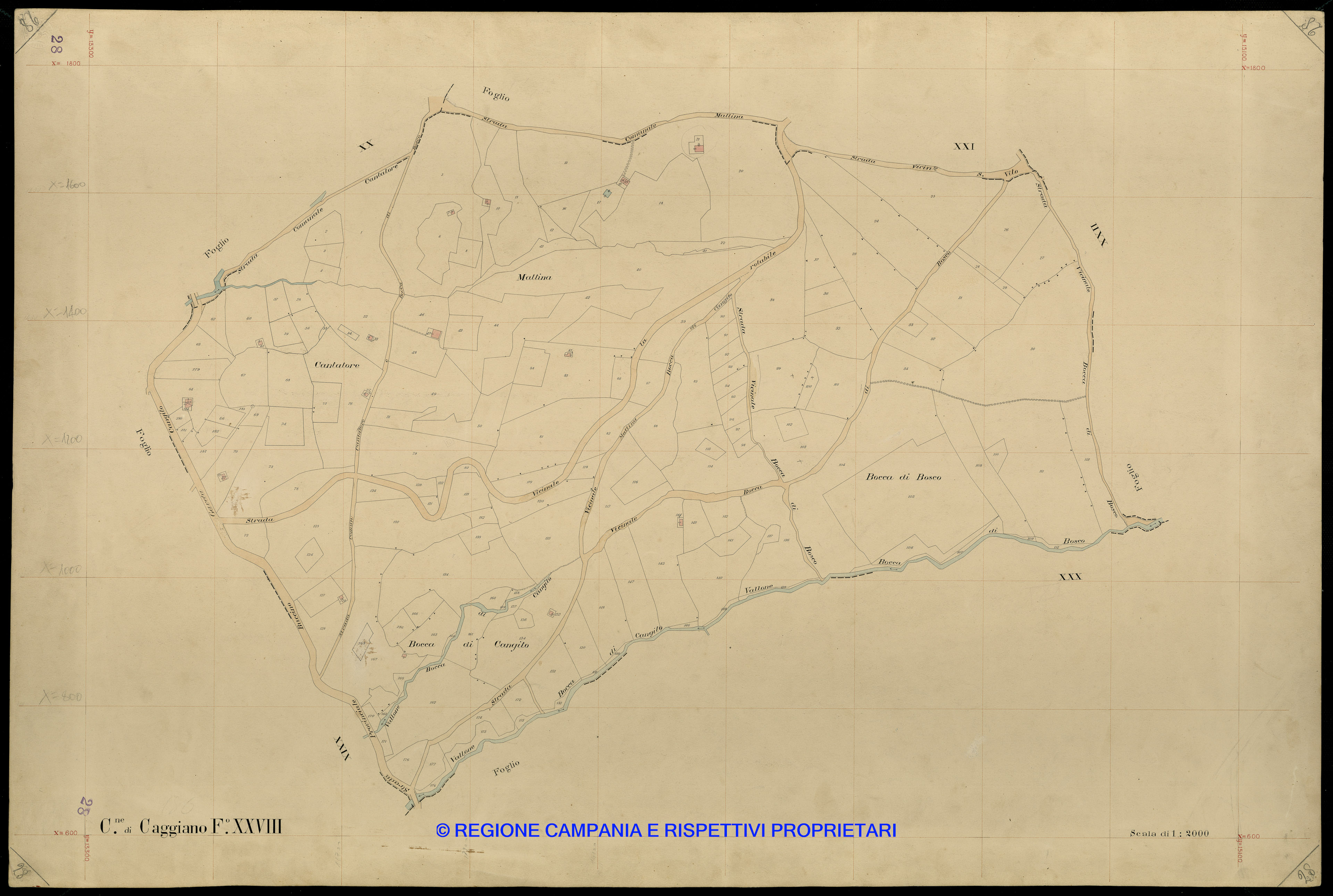 Mappa