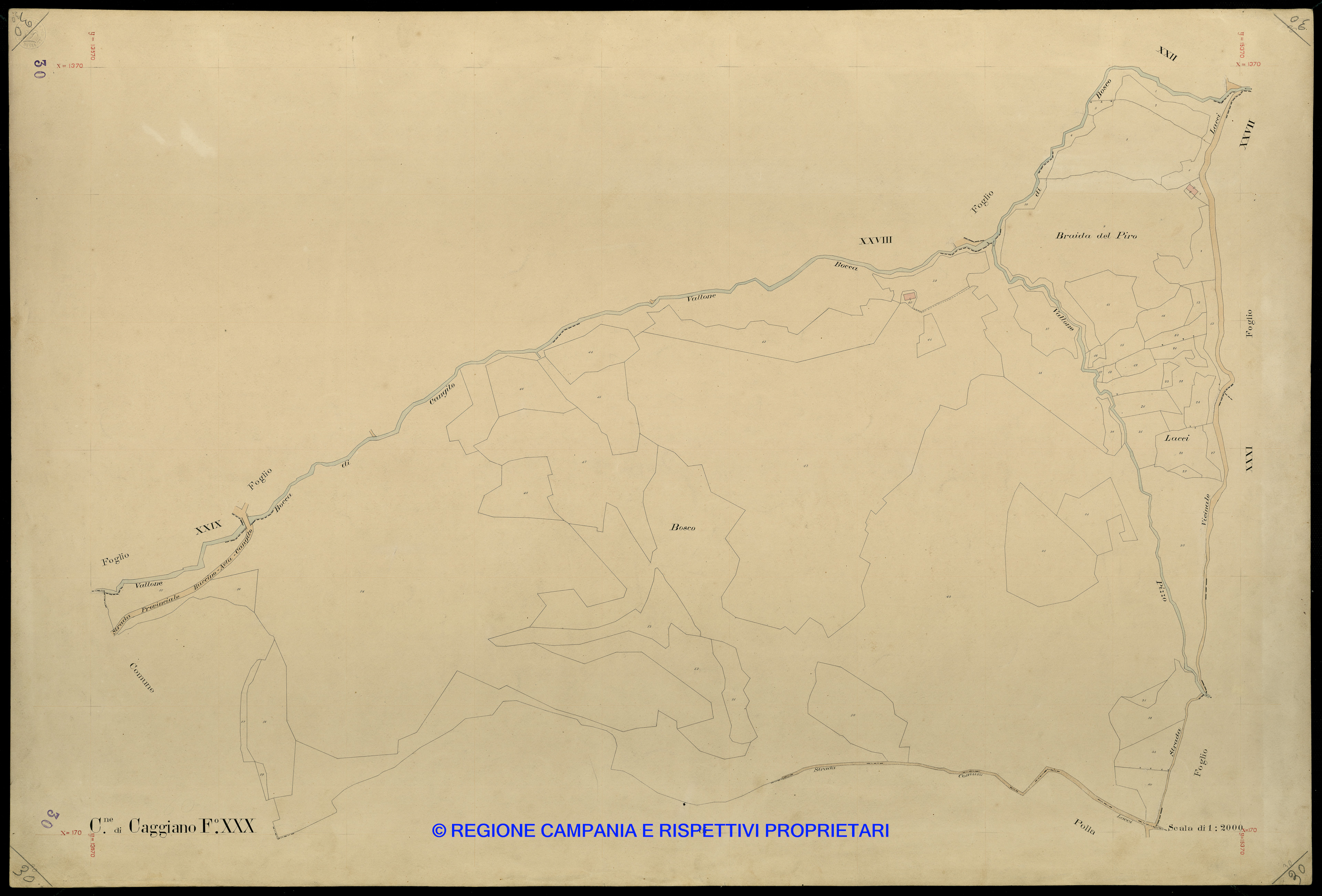 Mappa
