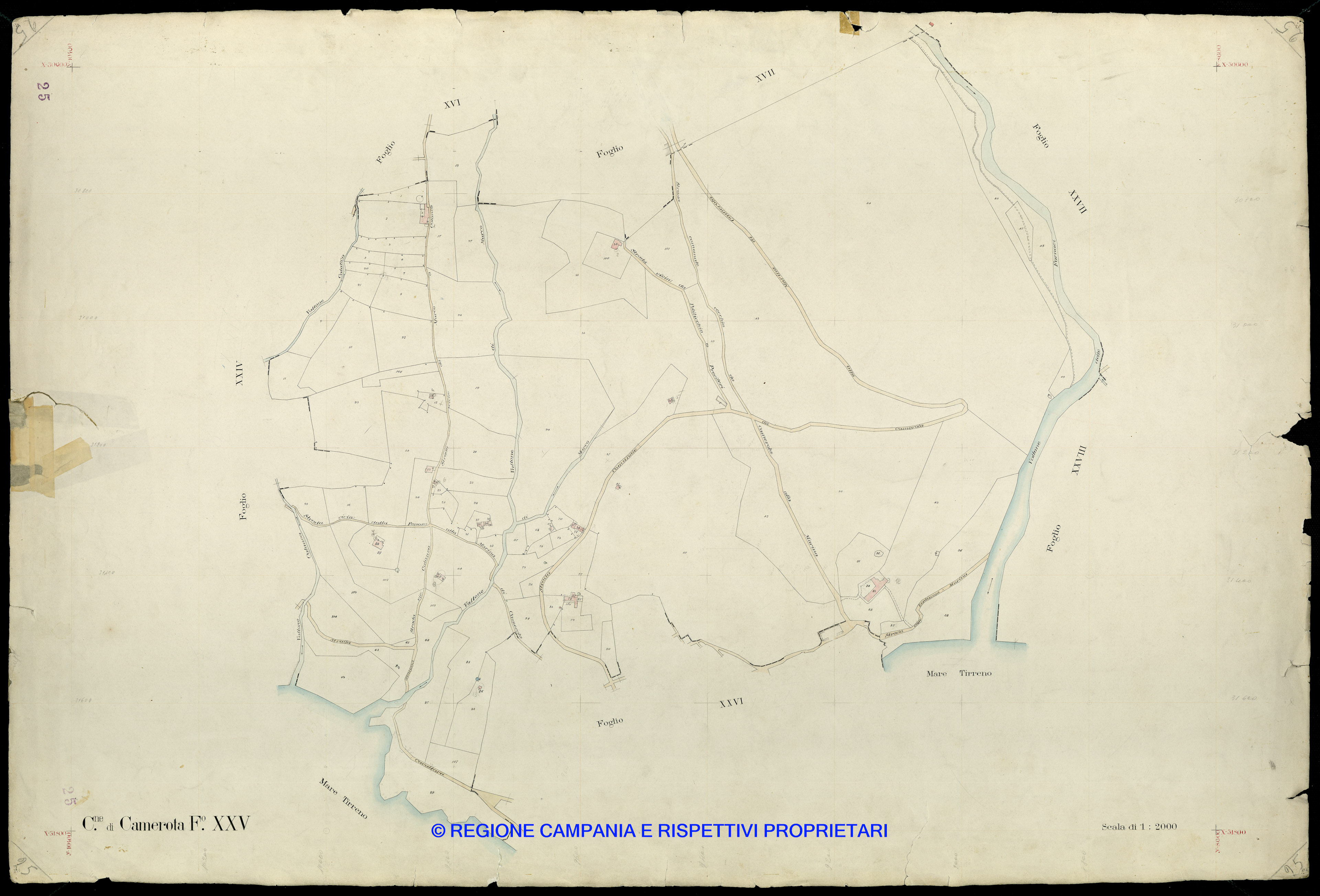 Mappa