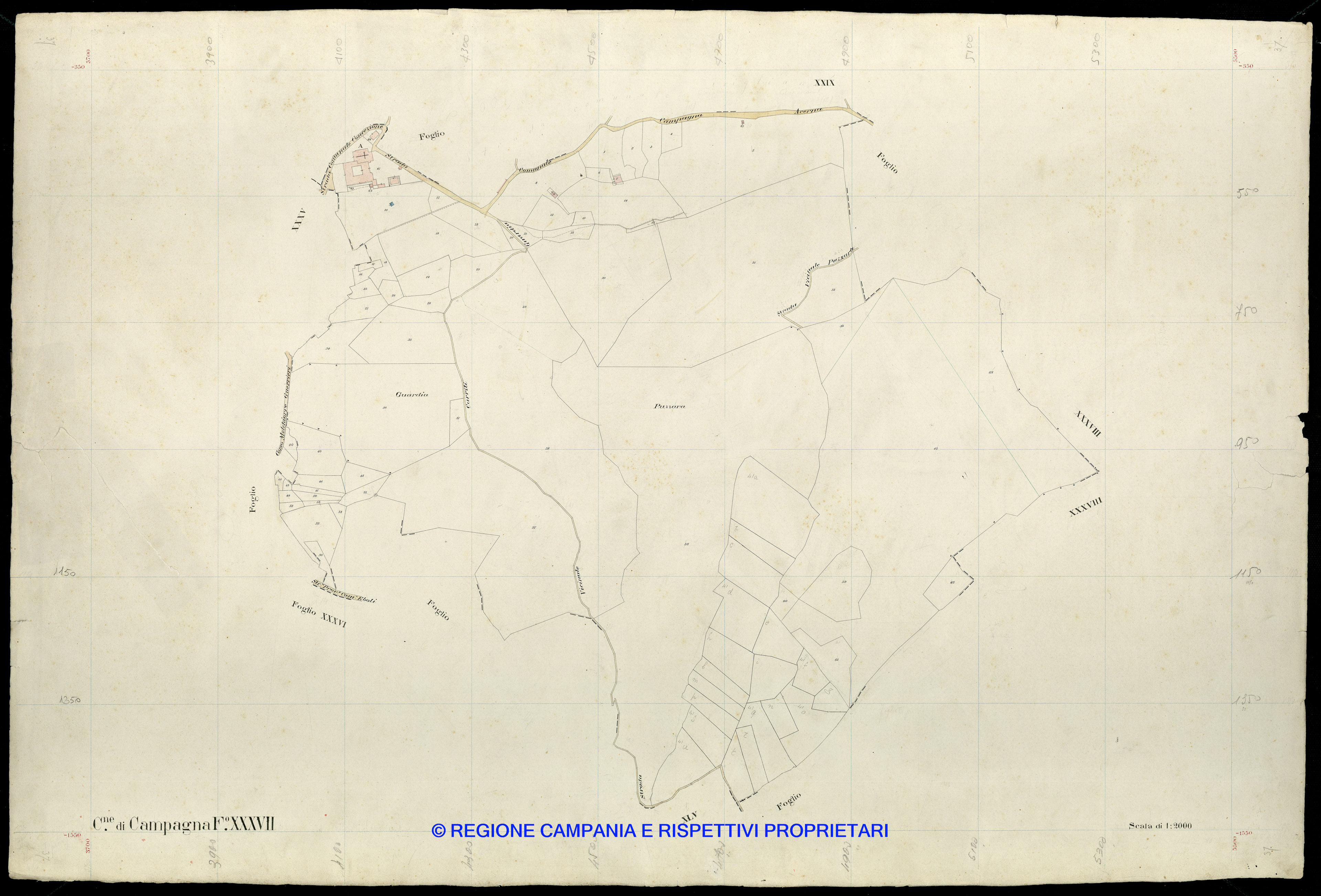 Mappa