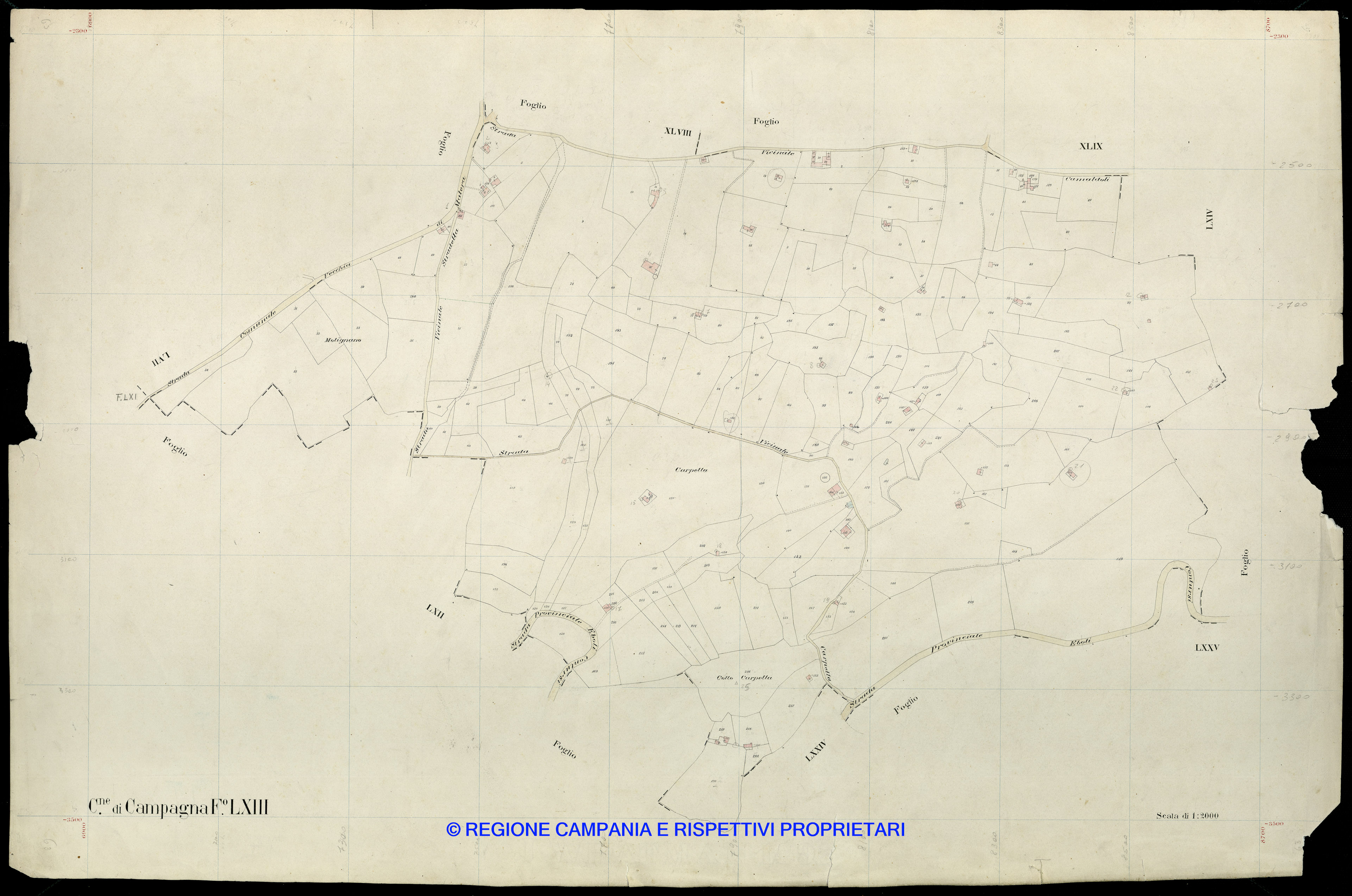Mappa