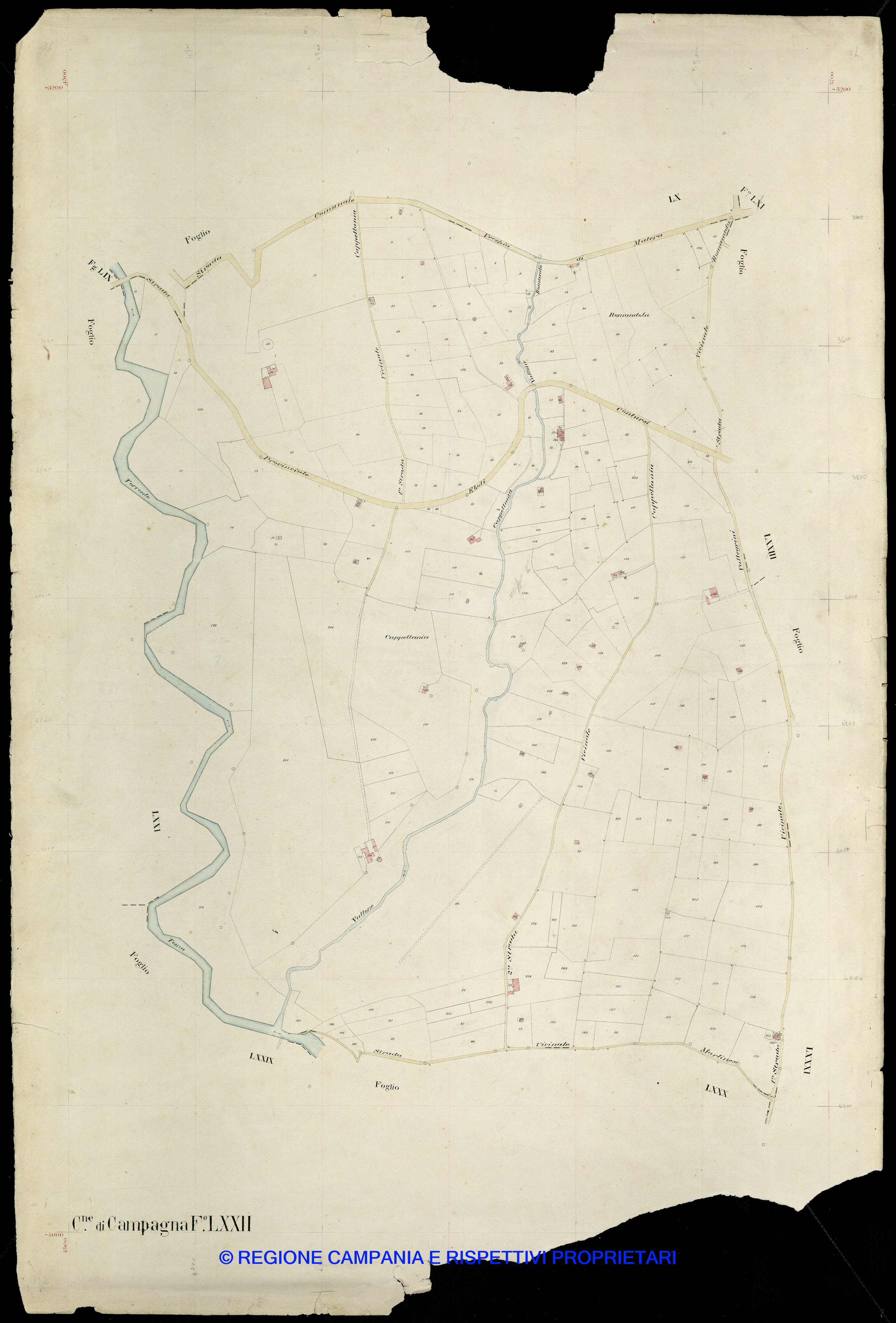 Mappa