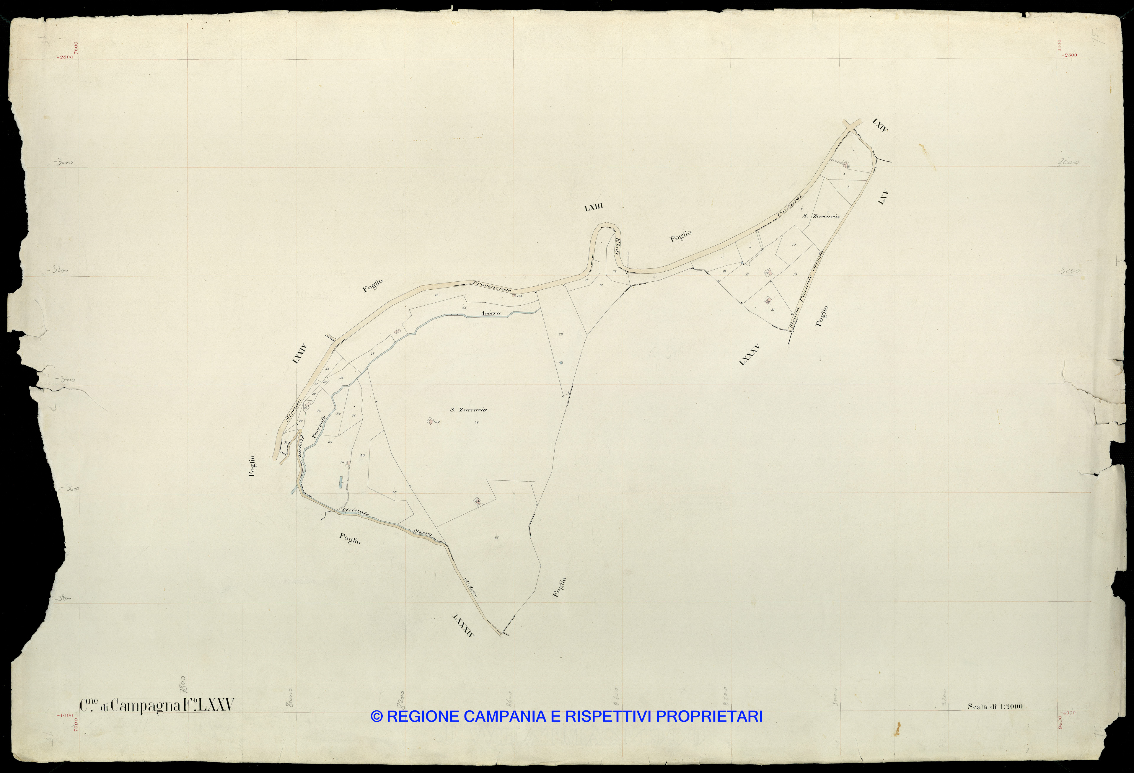 Mappa