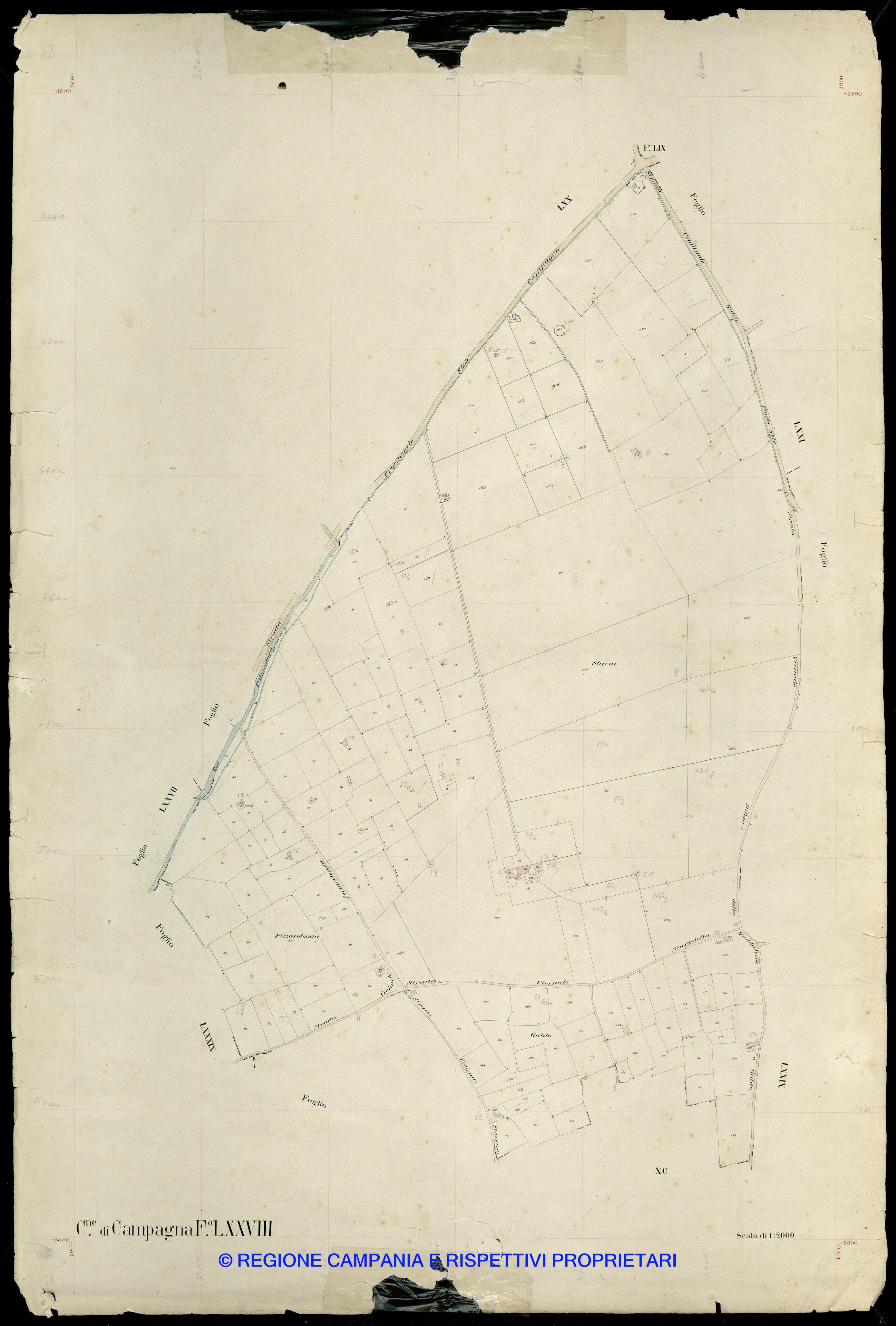 Mappa
