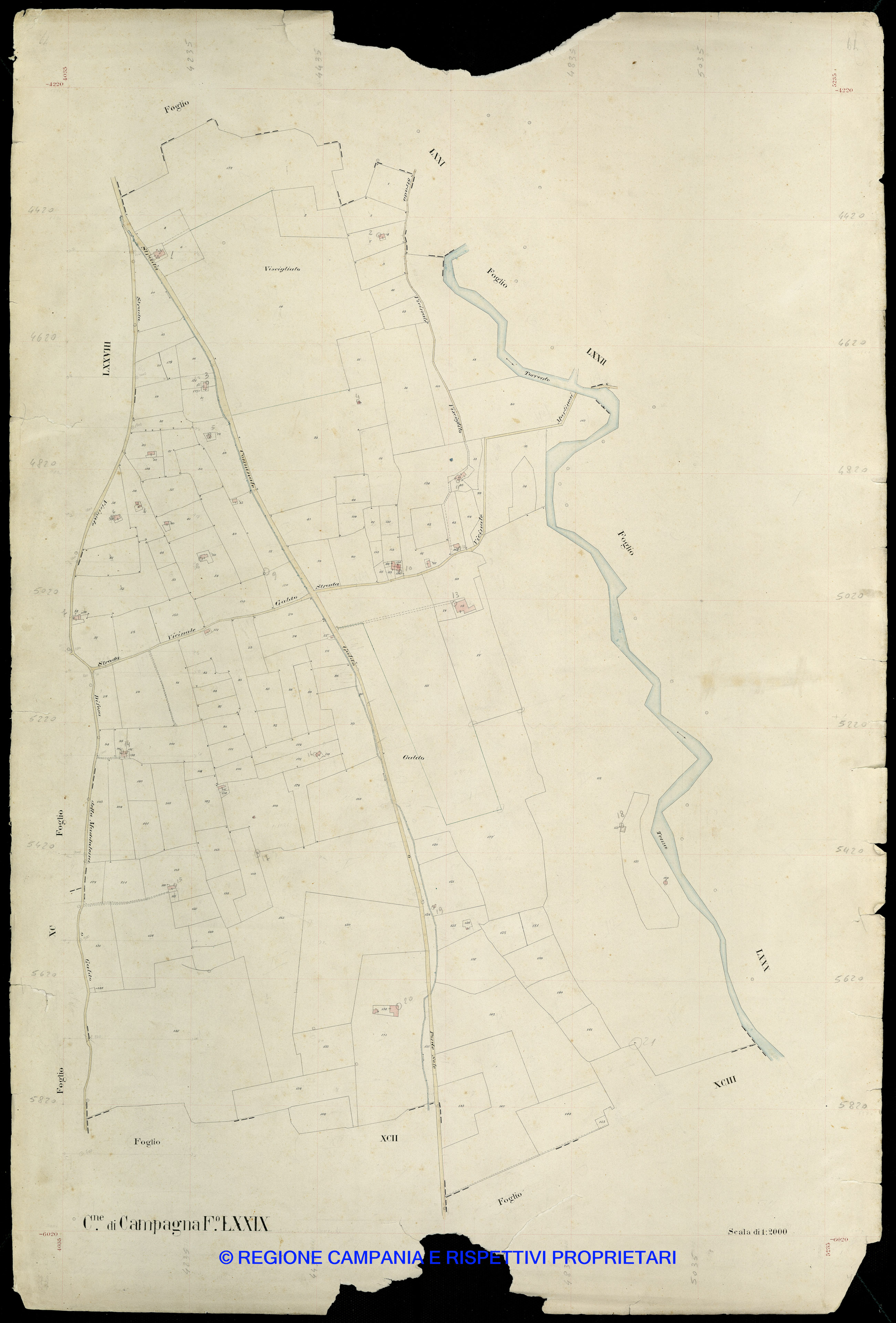 Mappa