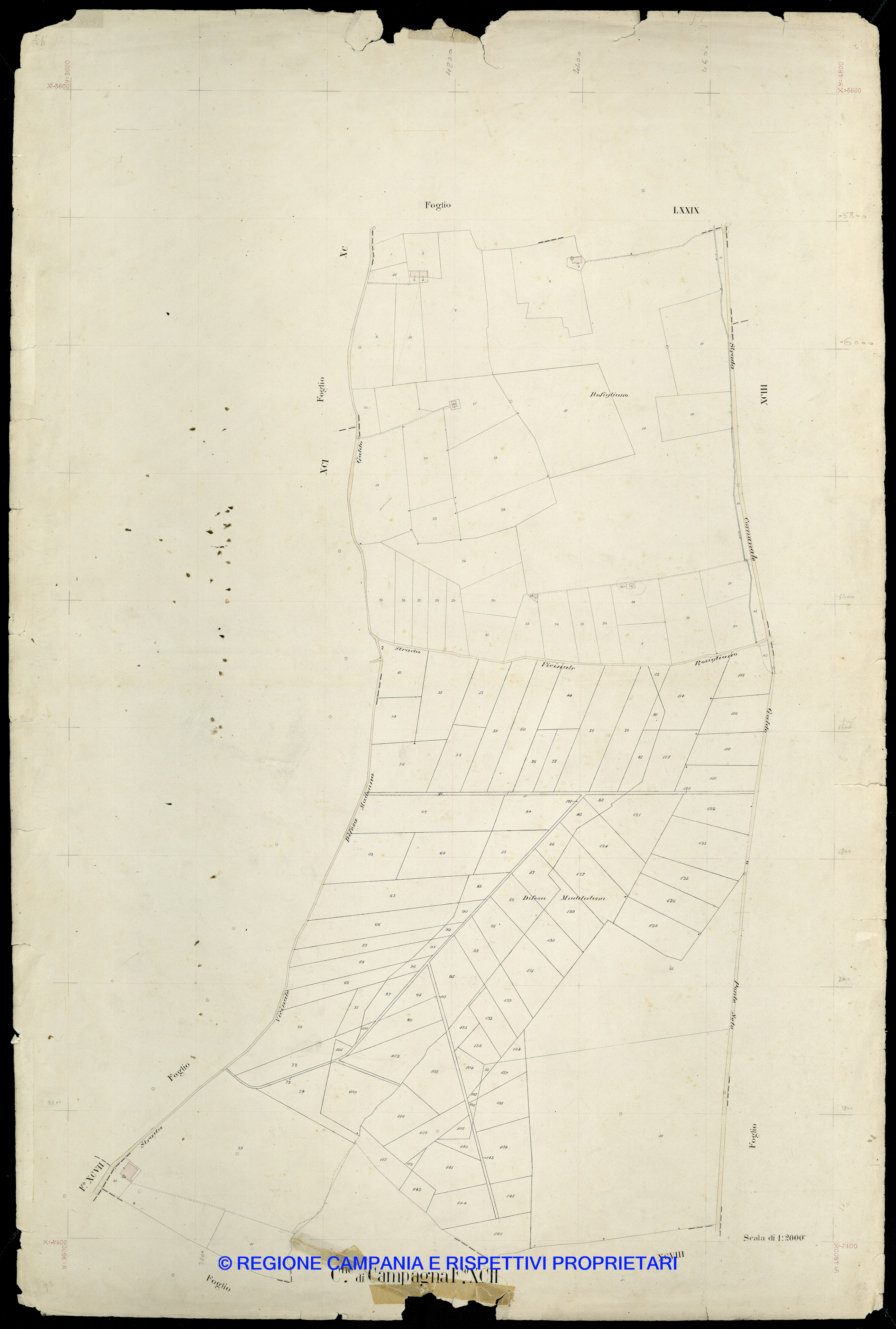 Mappa