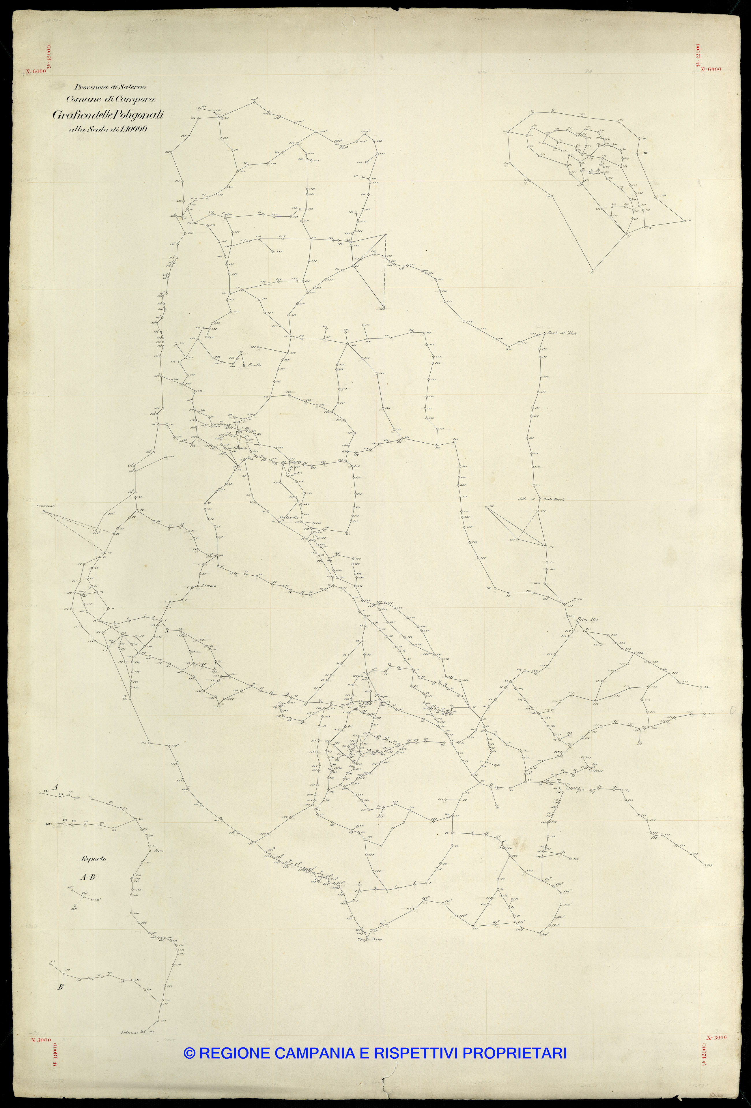 Grafico delle Poligonali