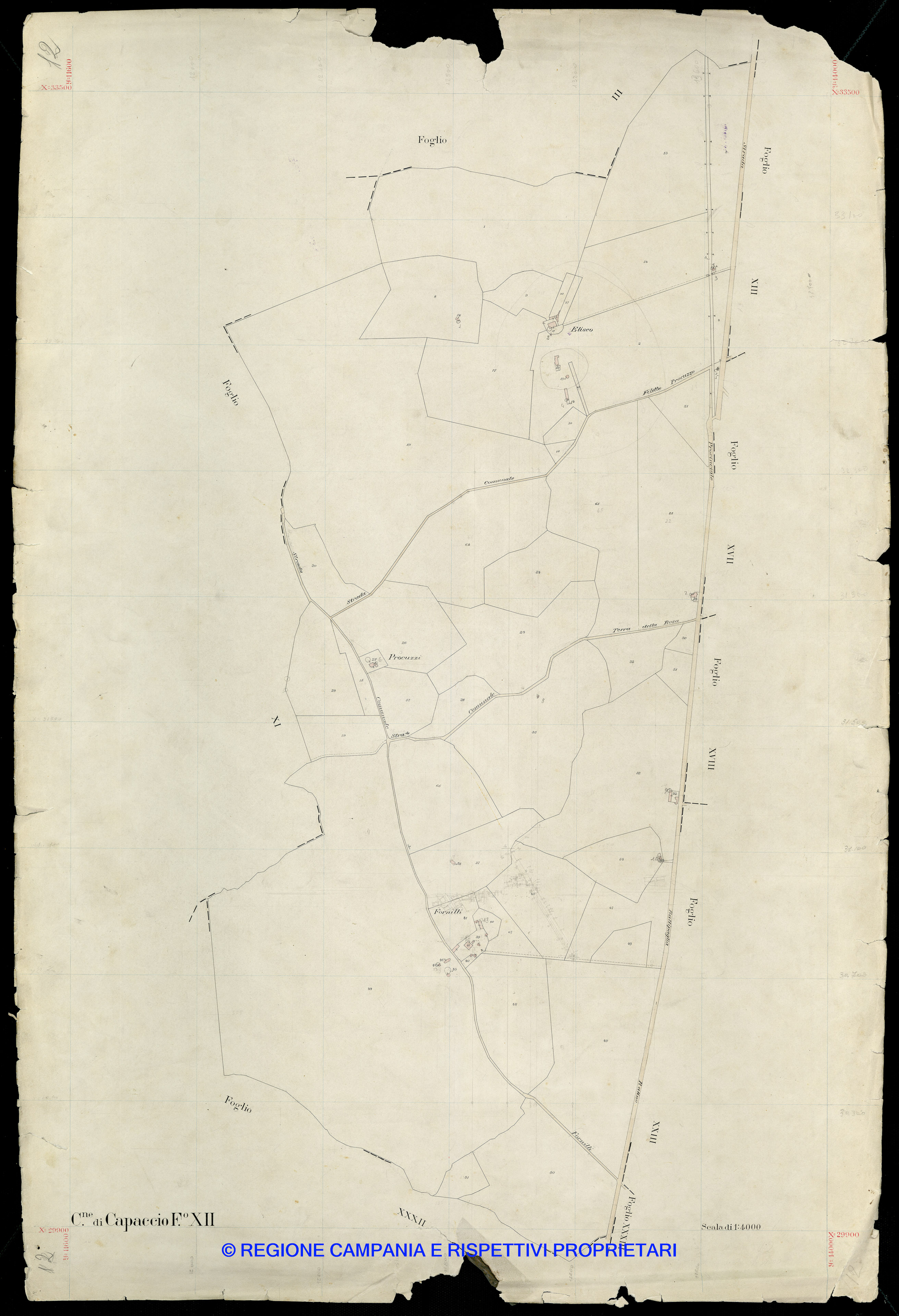 Mappa