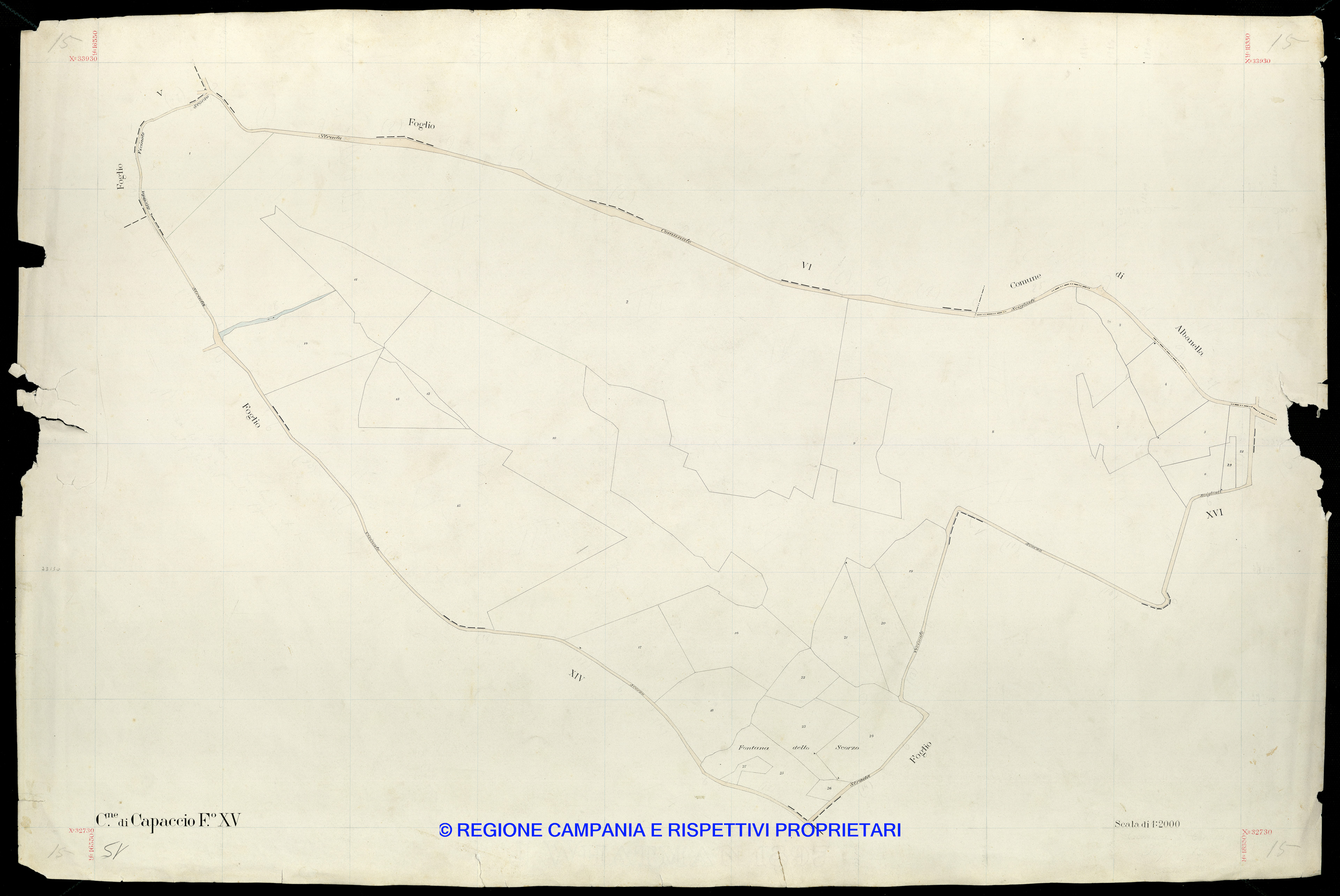 Mappa