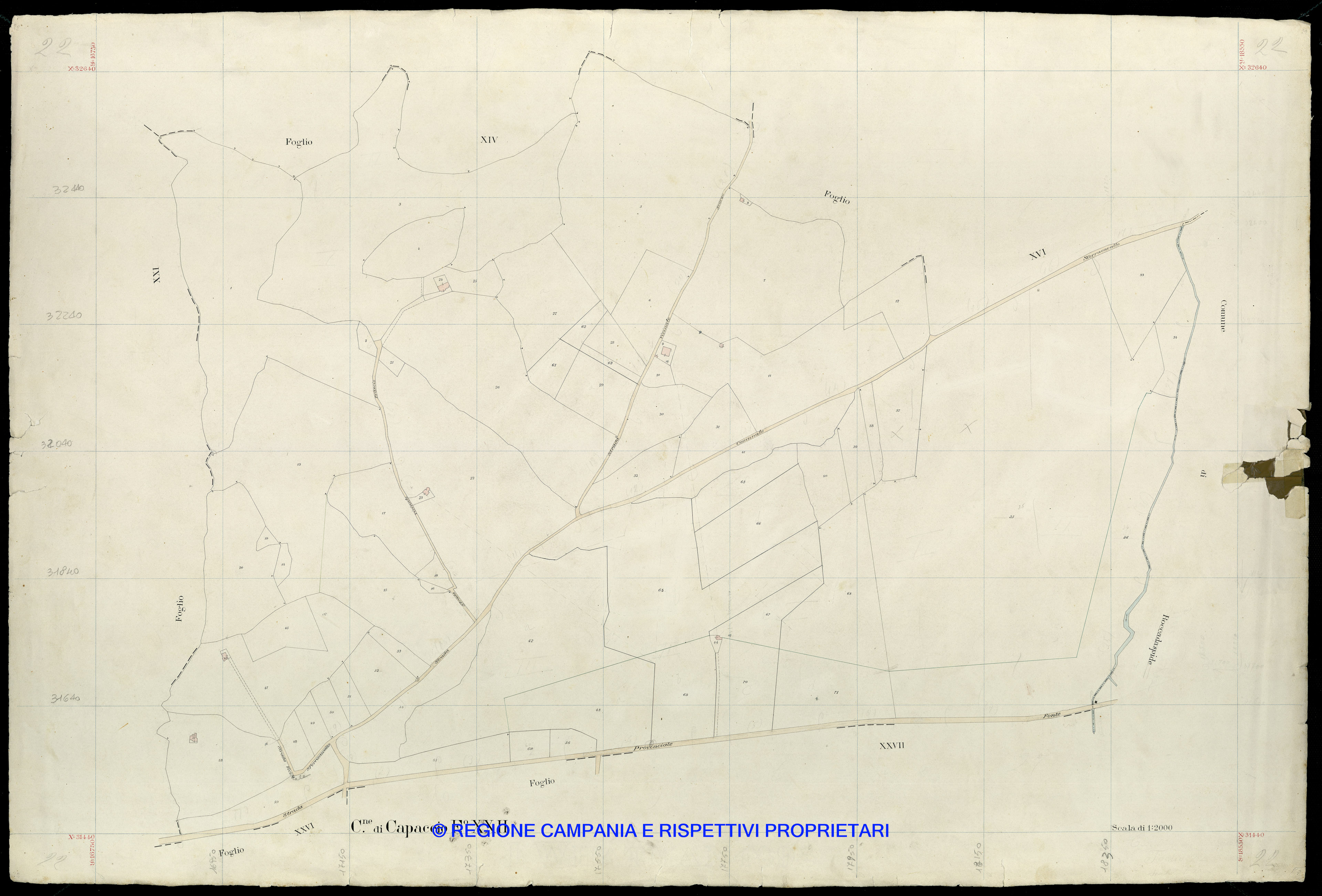 Mappa
