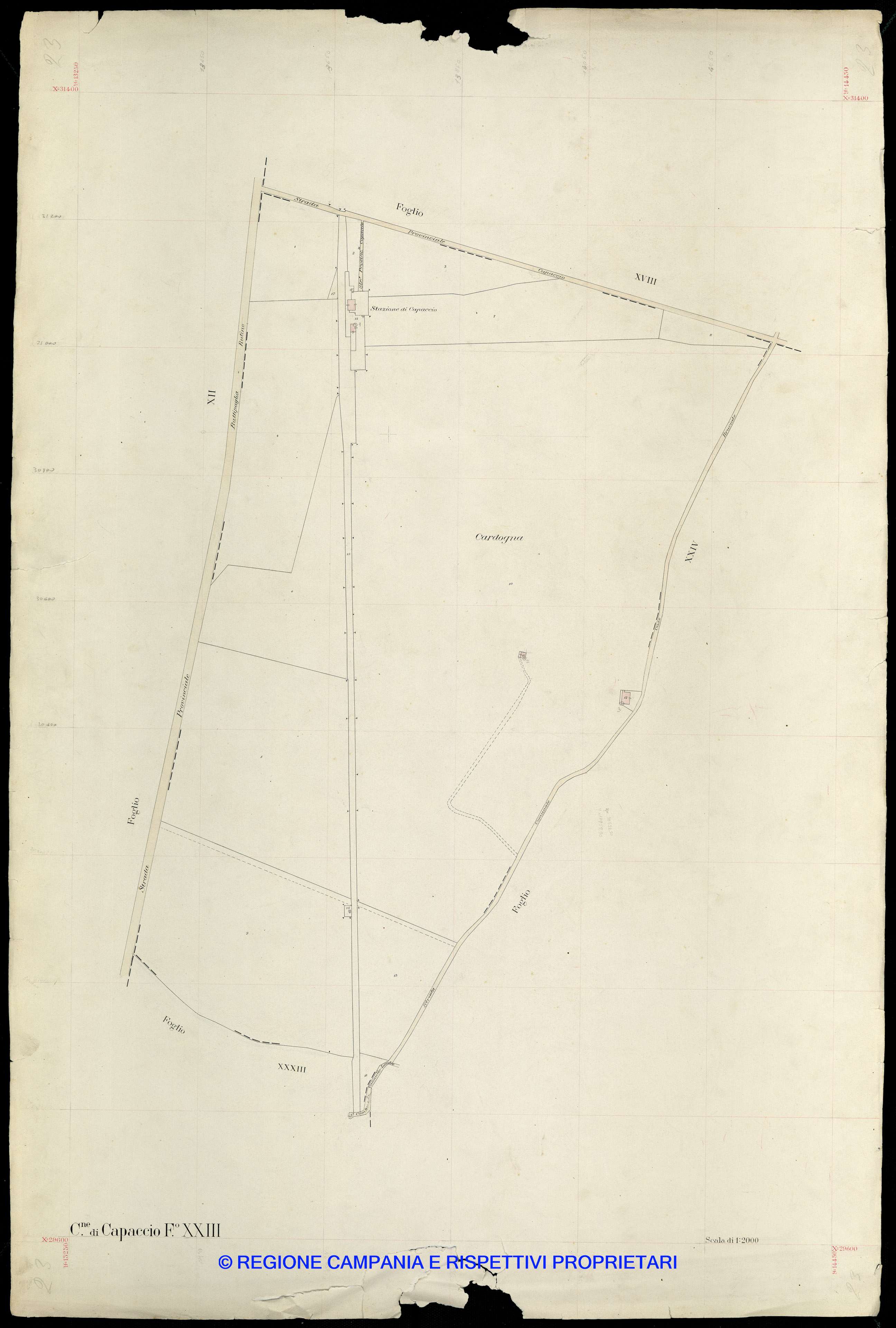 Mappa