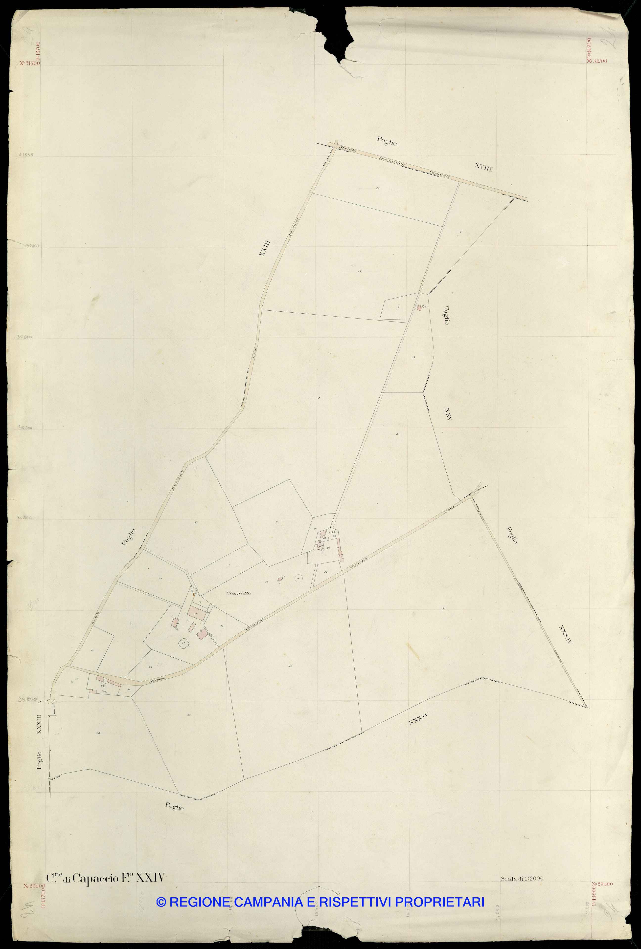 Mappa