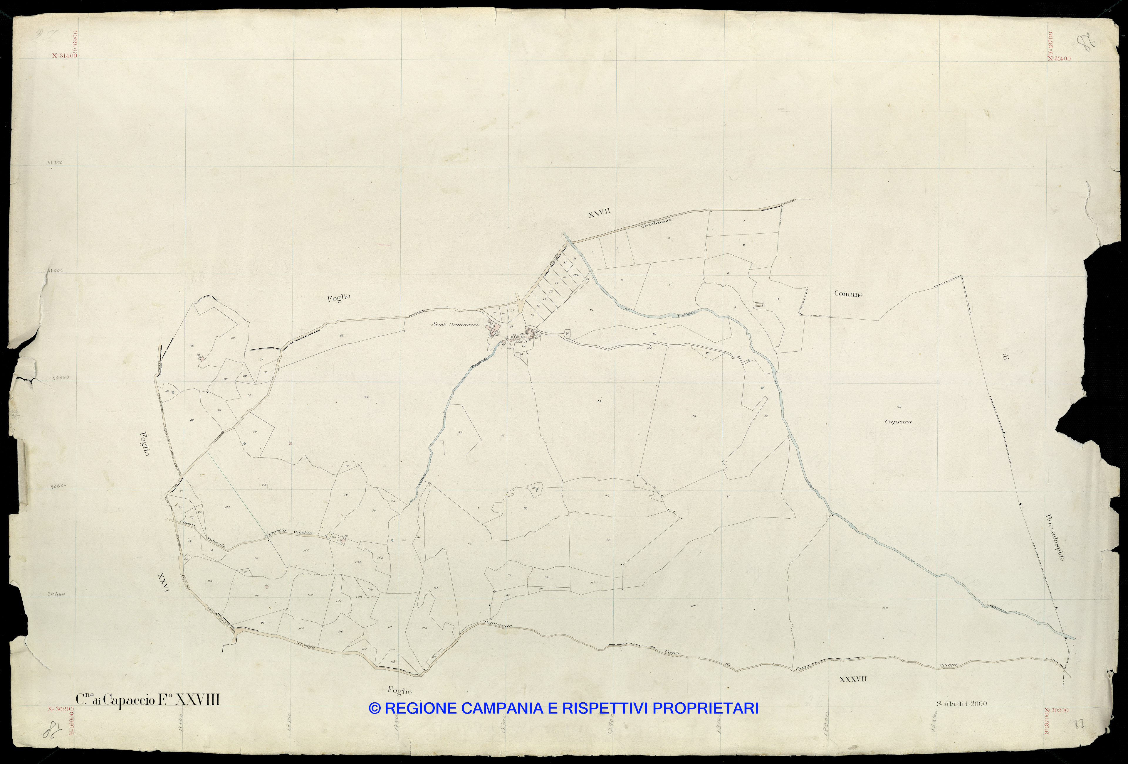 Mappa