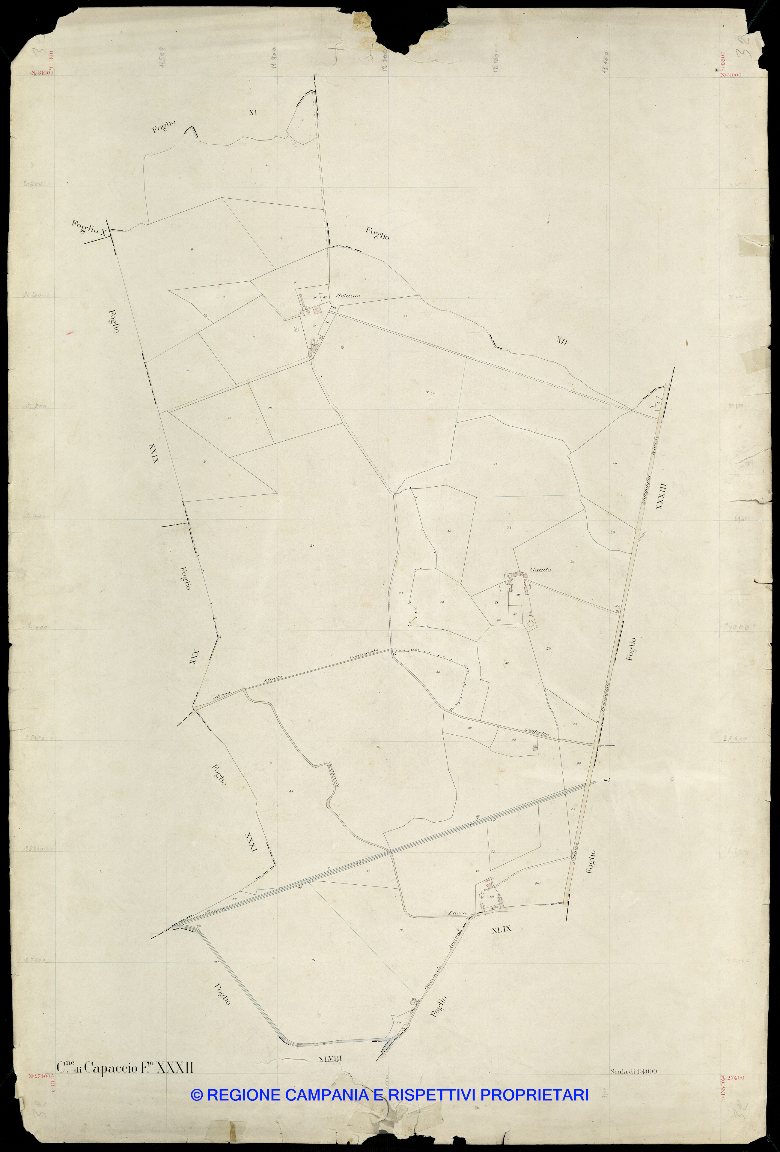 Mappa