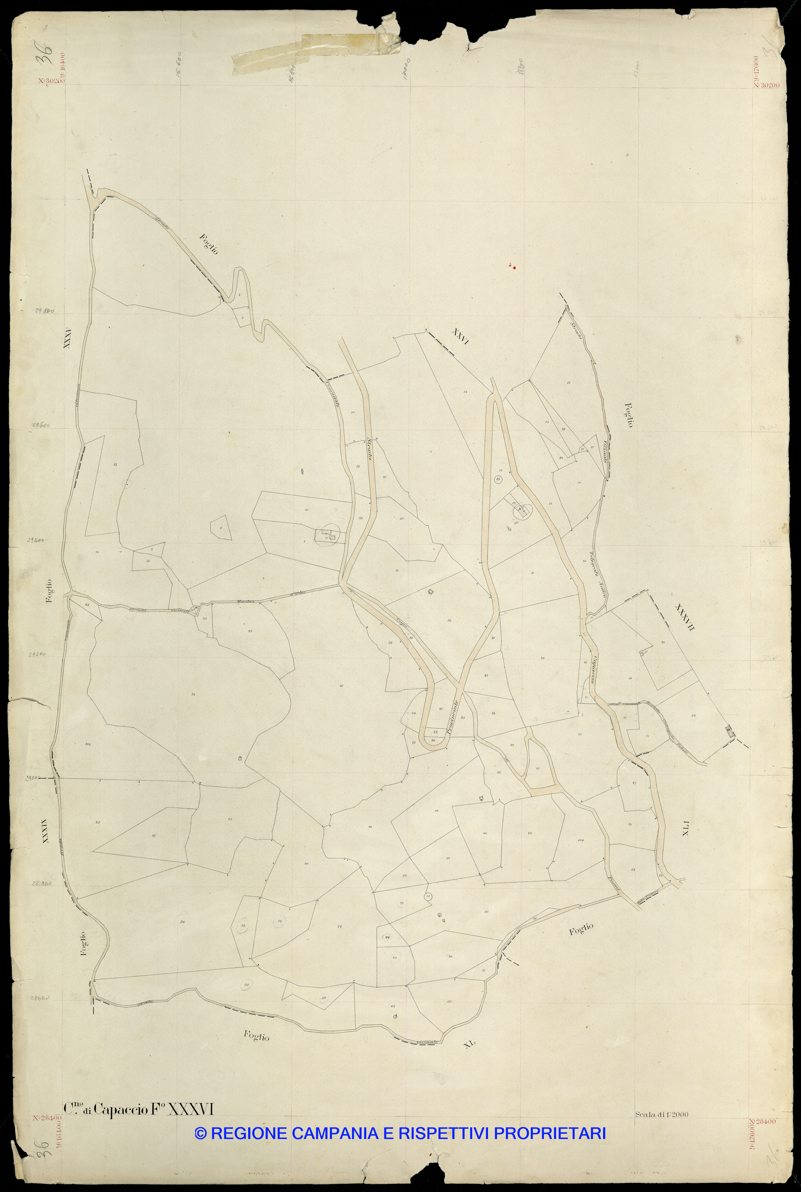 Mappa