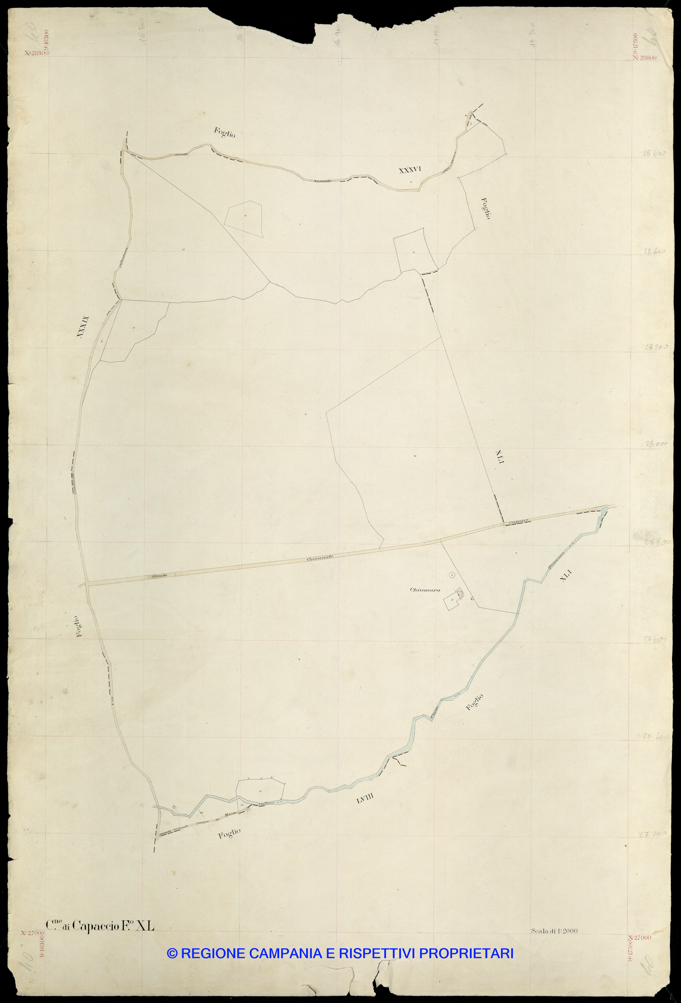 Mappa