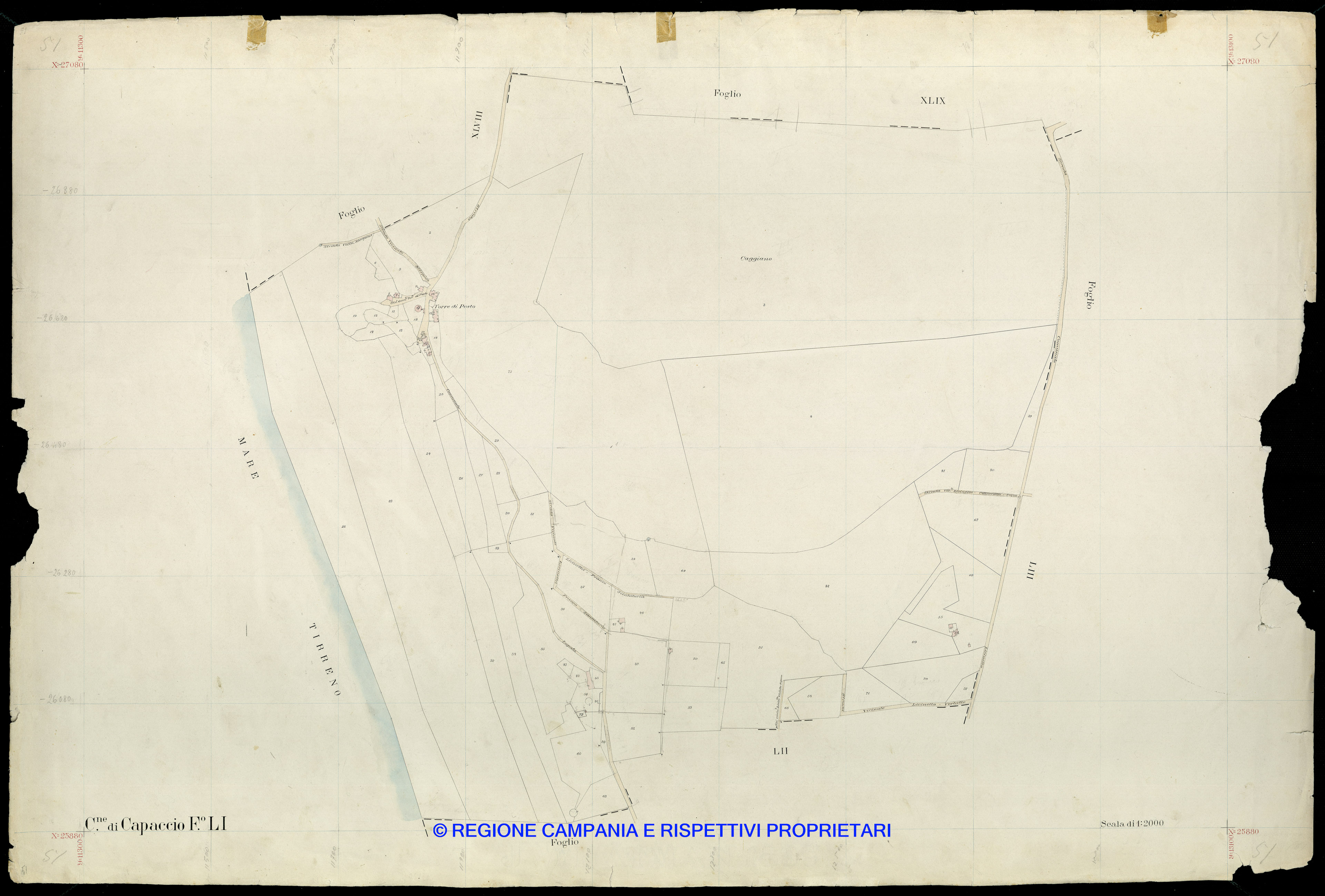 Mappa