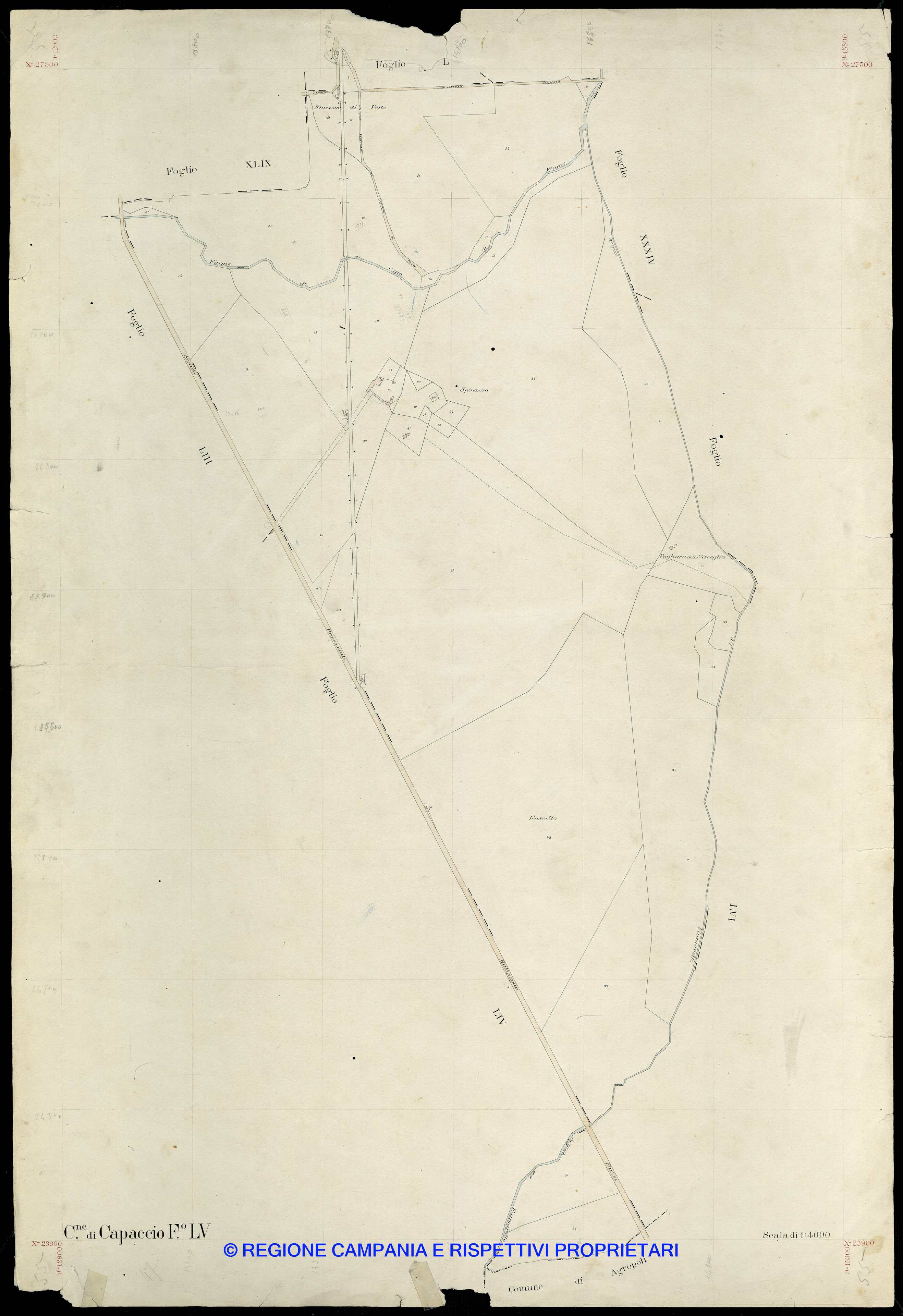 Mappa