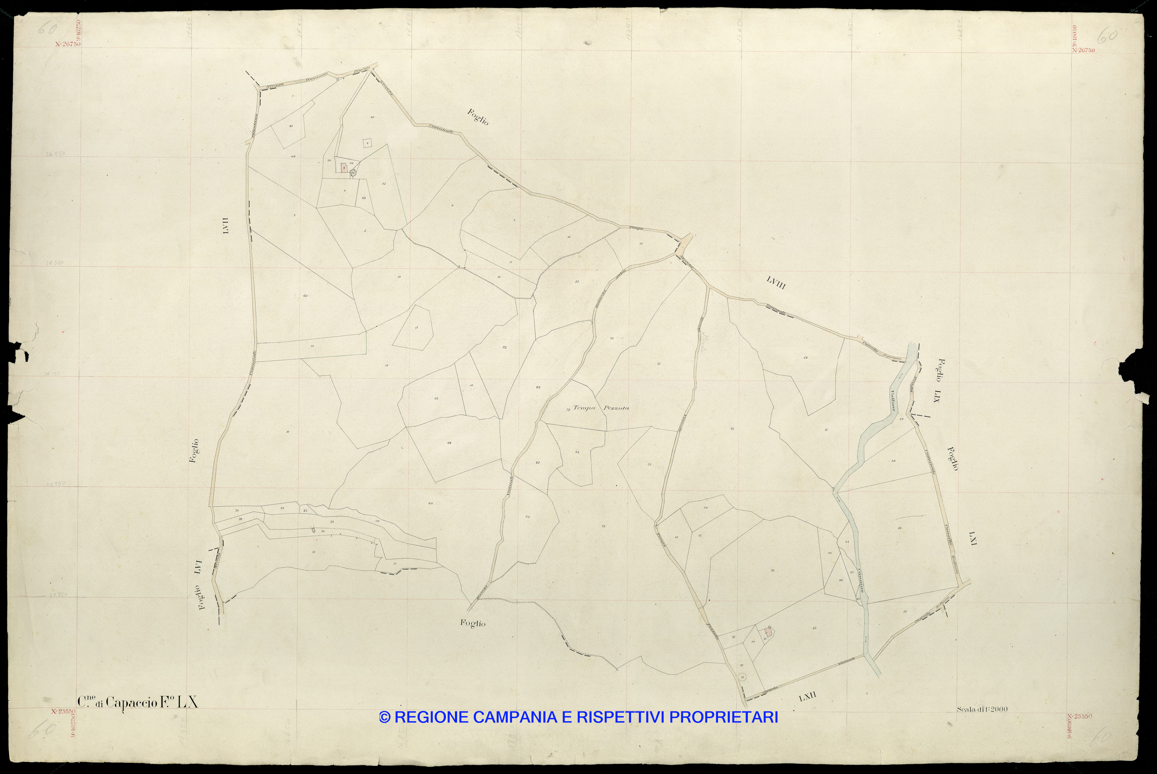 Mappa