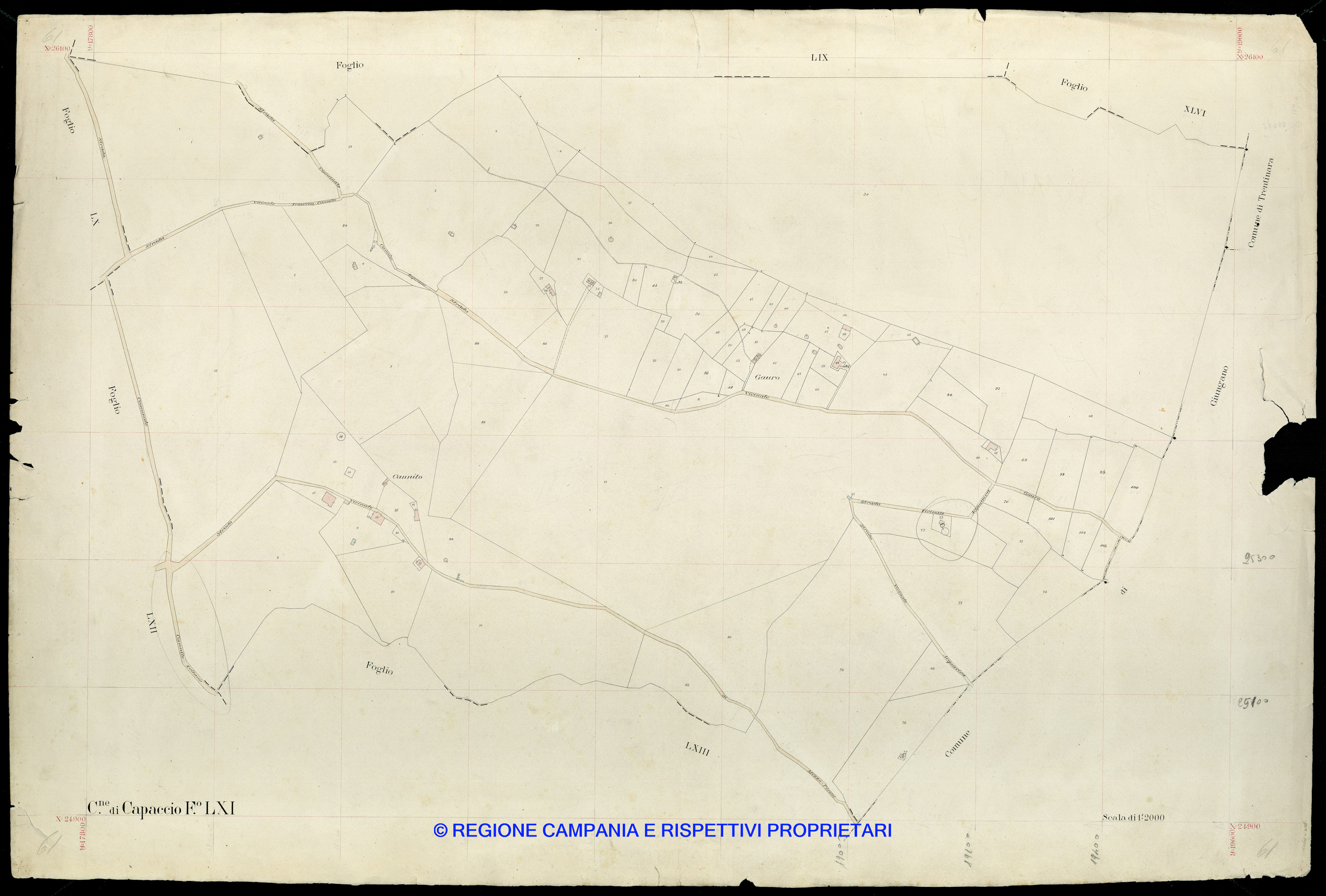 Mappa