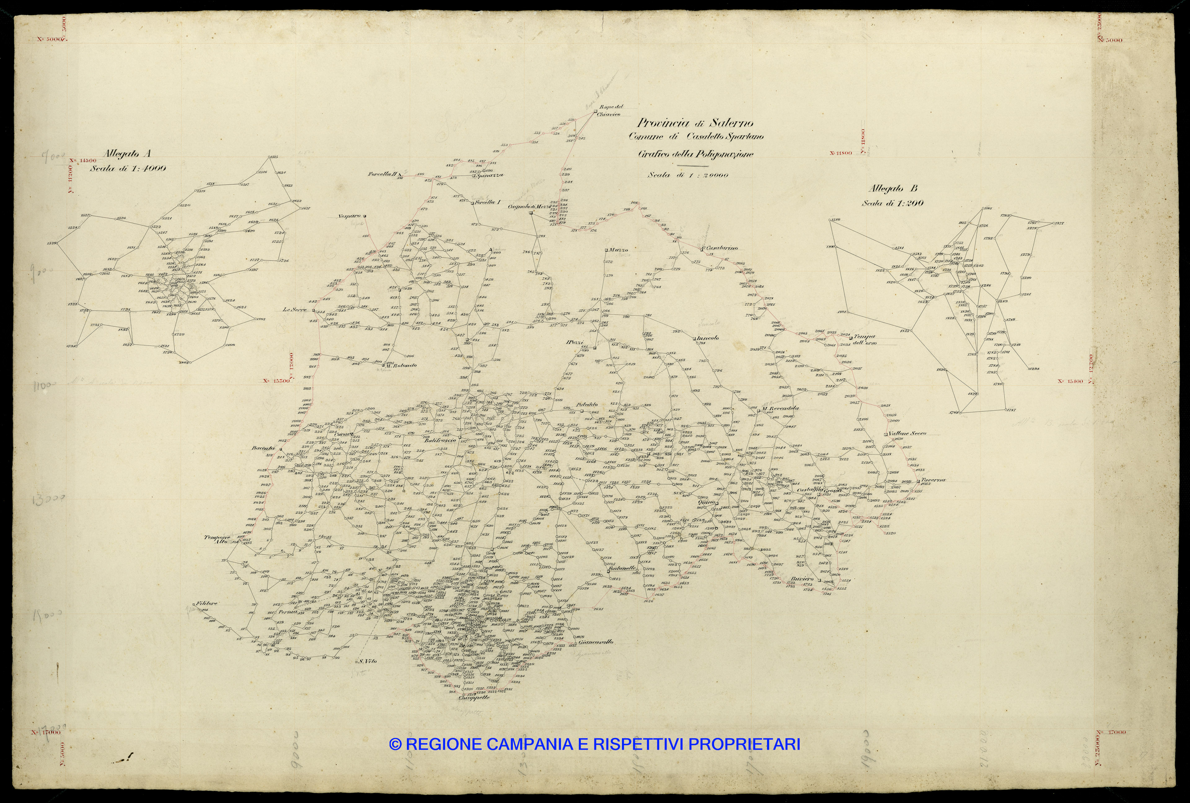 Grafico delle Poligonali