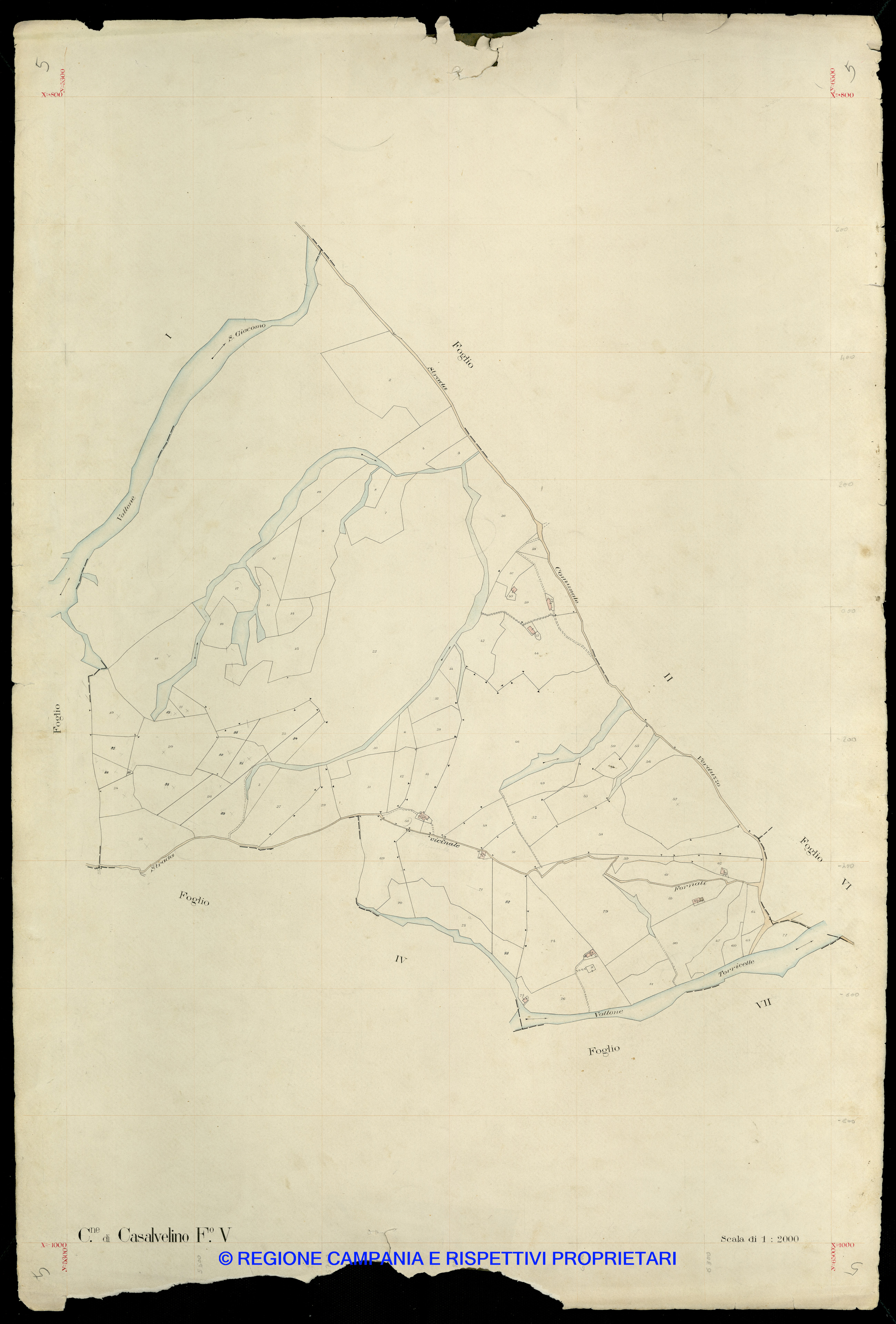 Mappa
