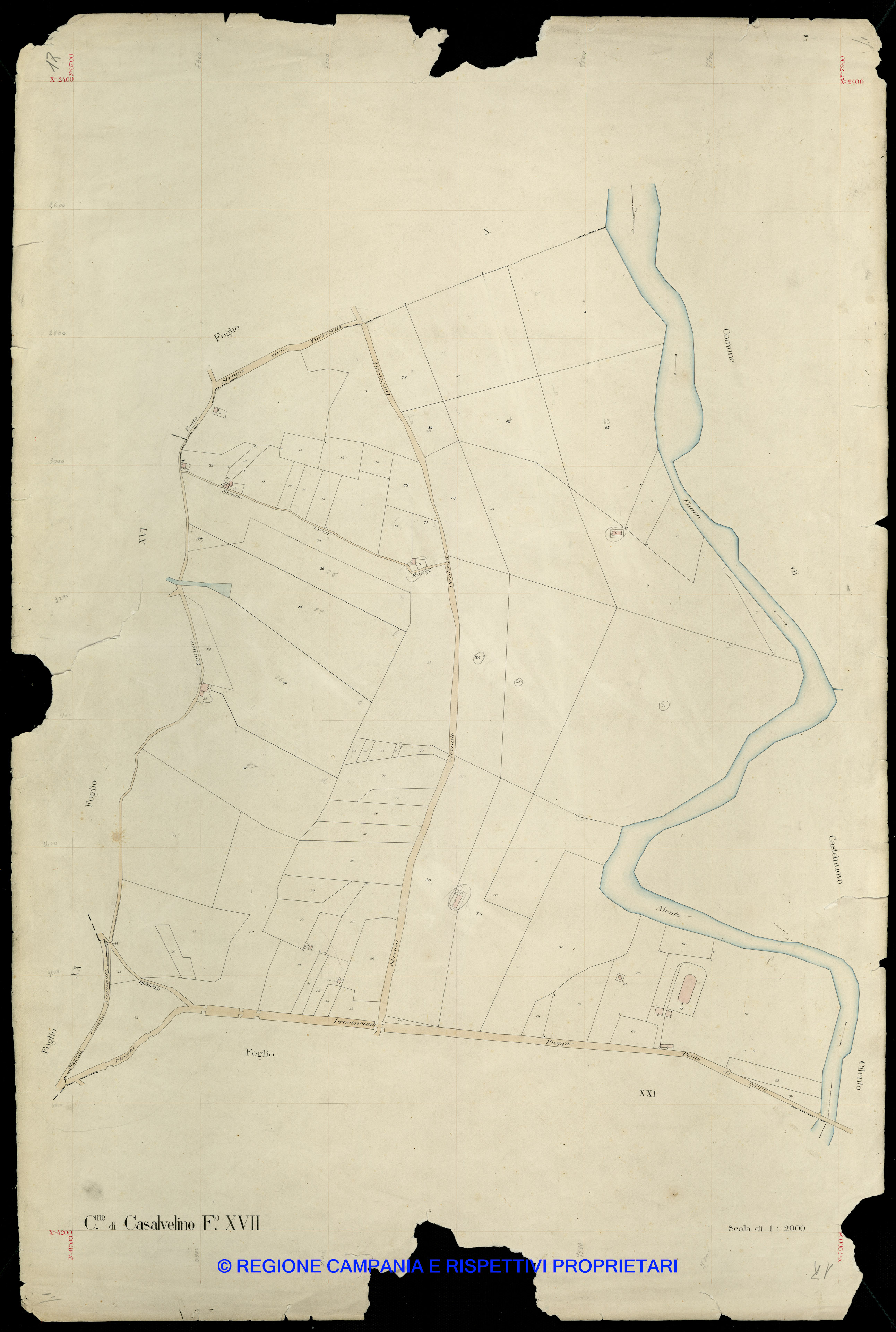Mappa