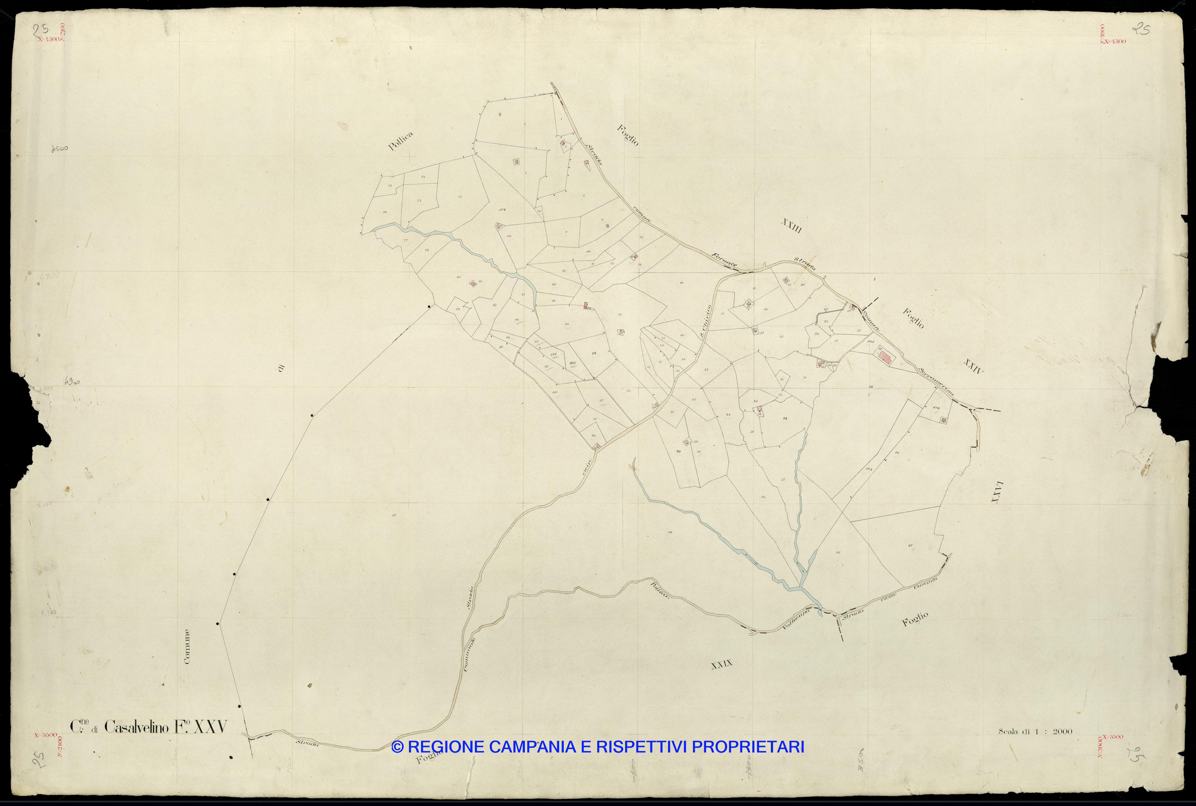 Mappa
