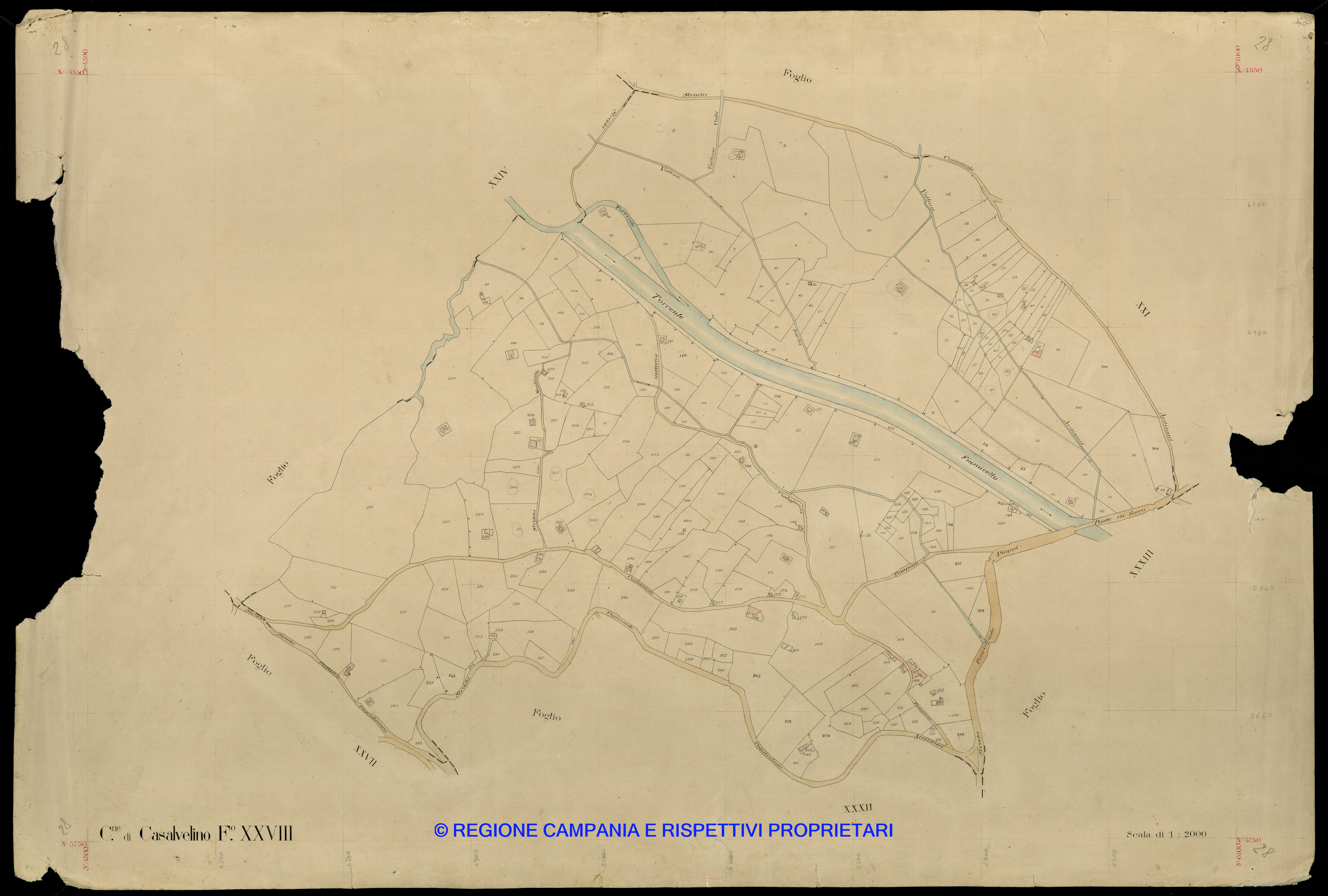 Mappa