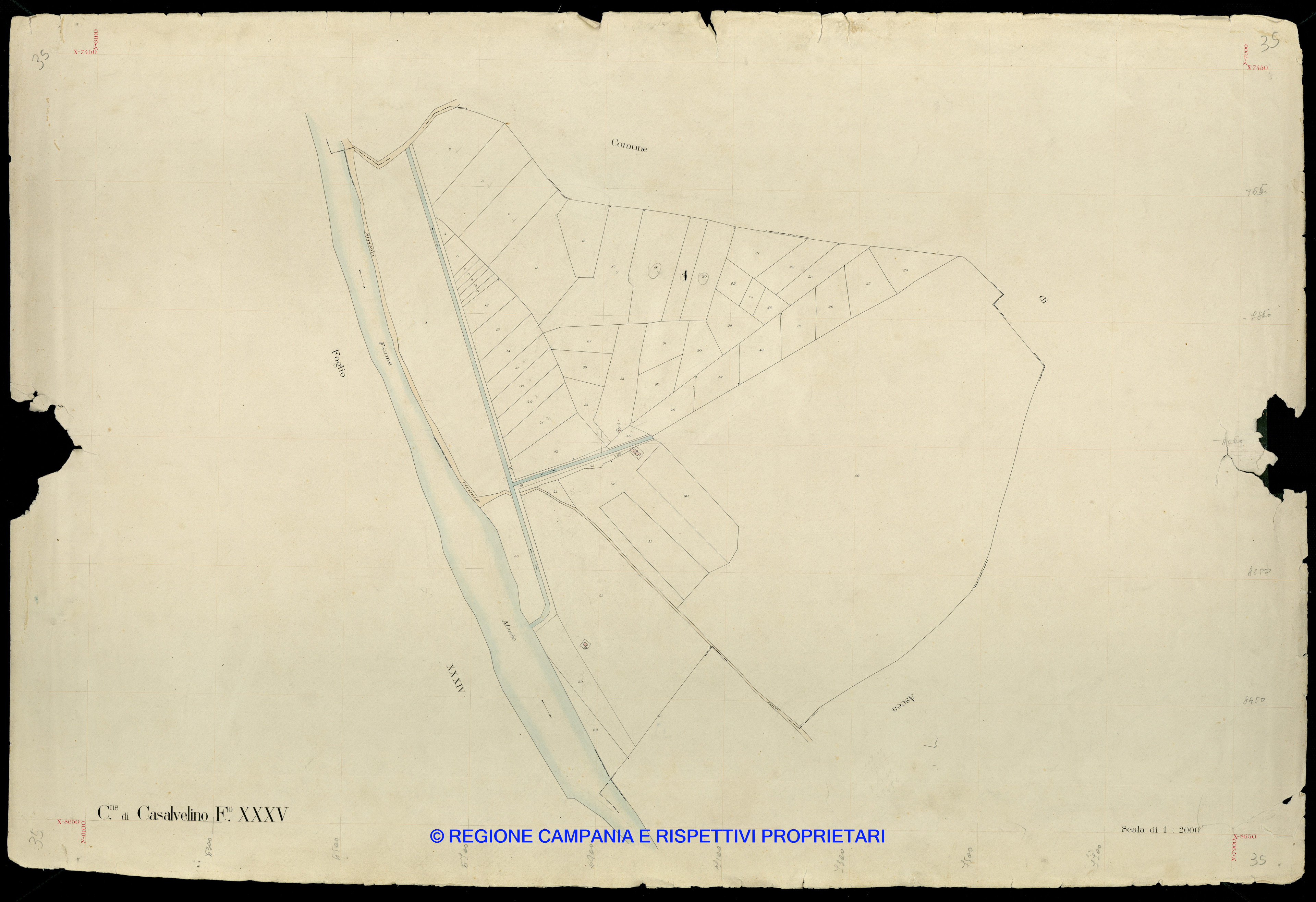 Mappa