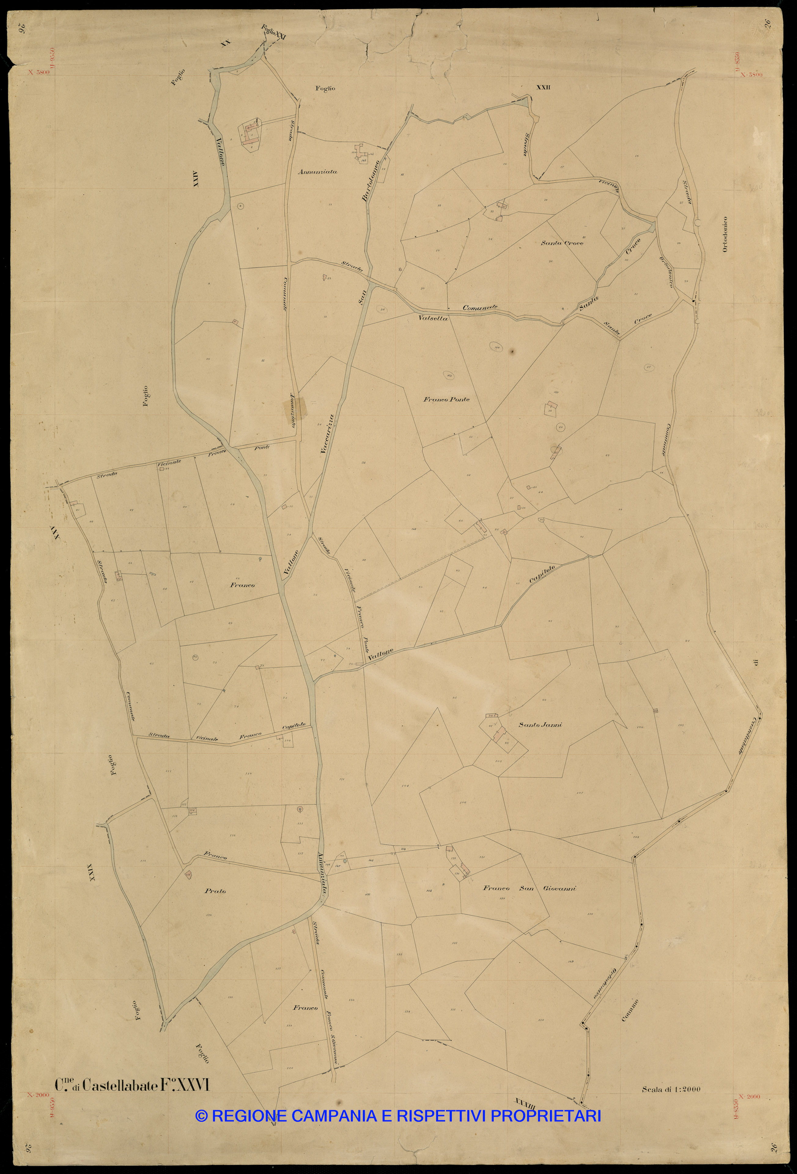 Mappa