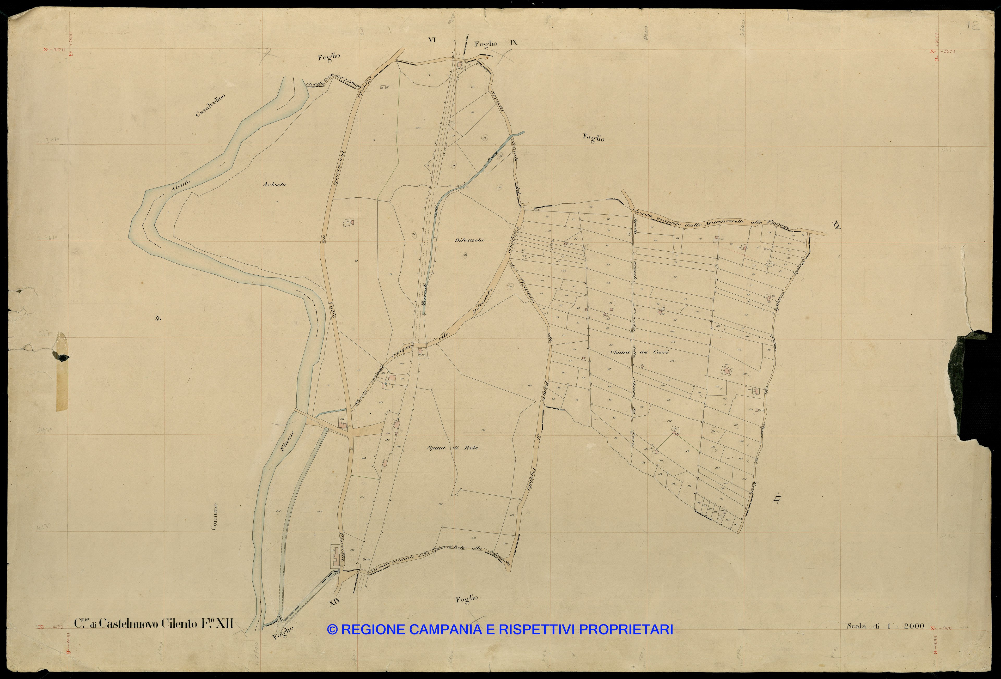 Mappa