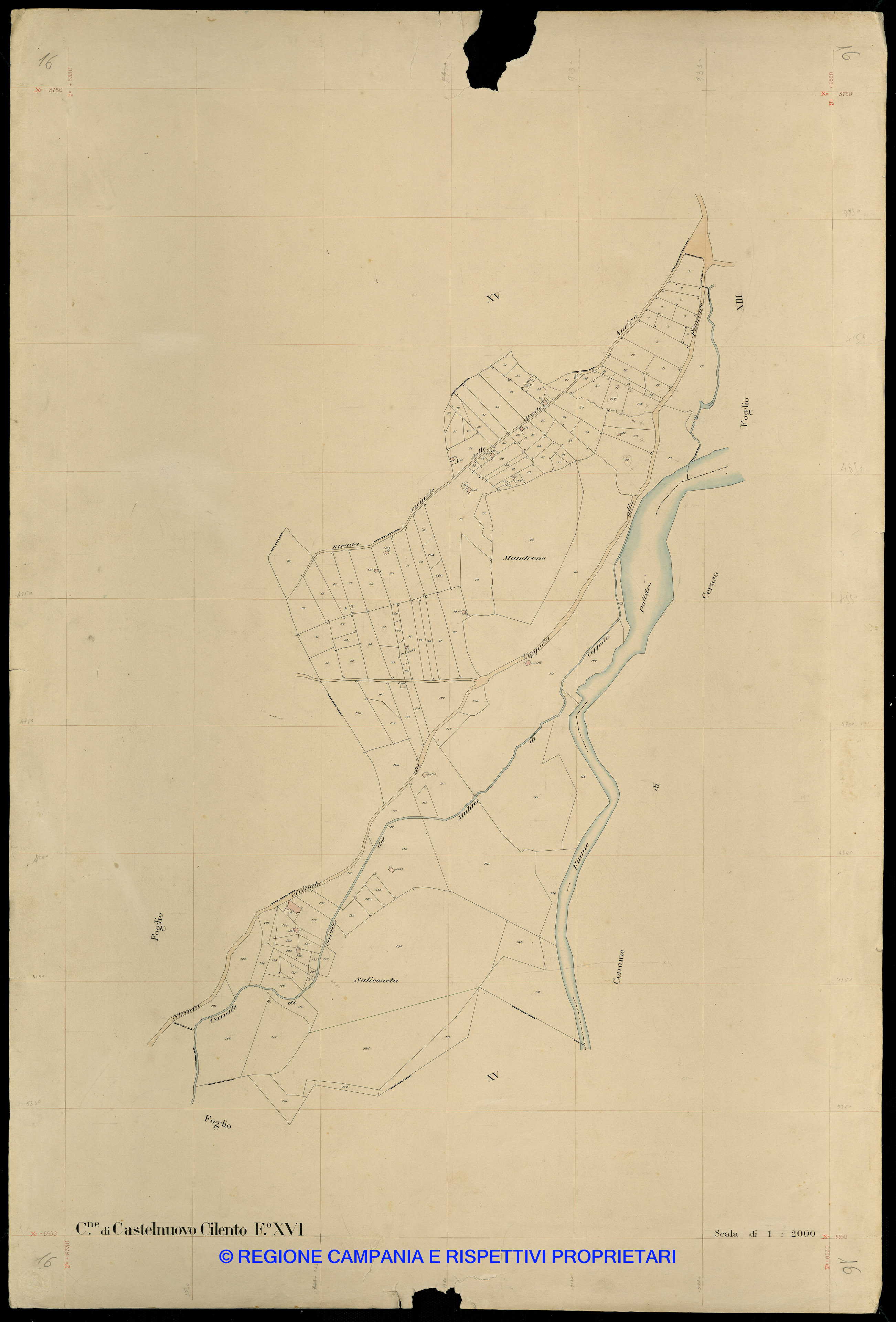 Mappa