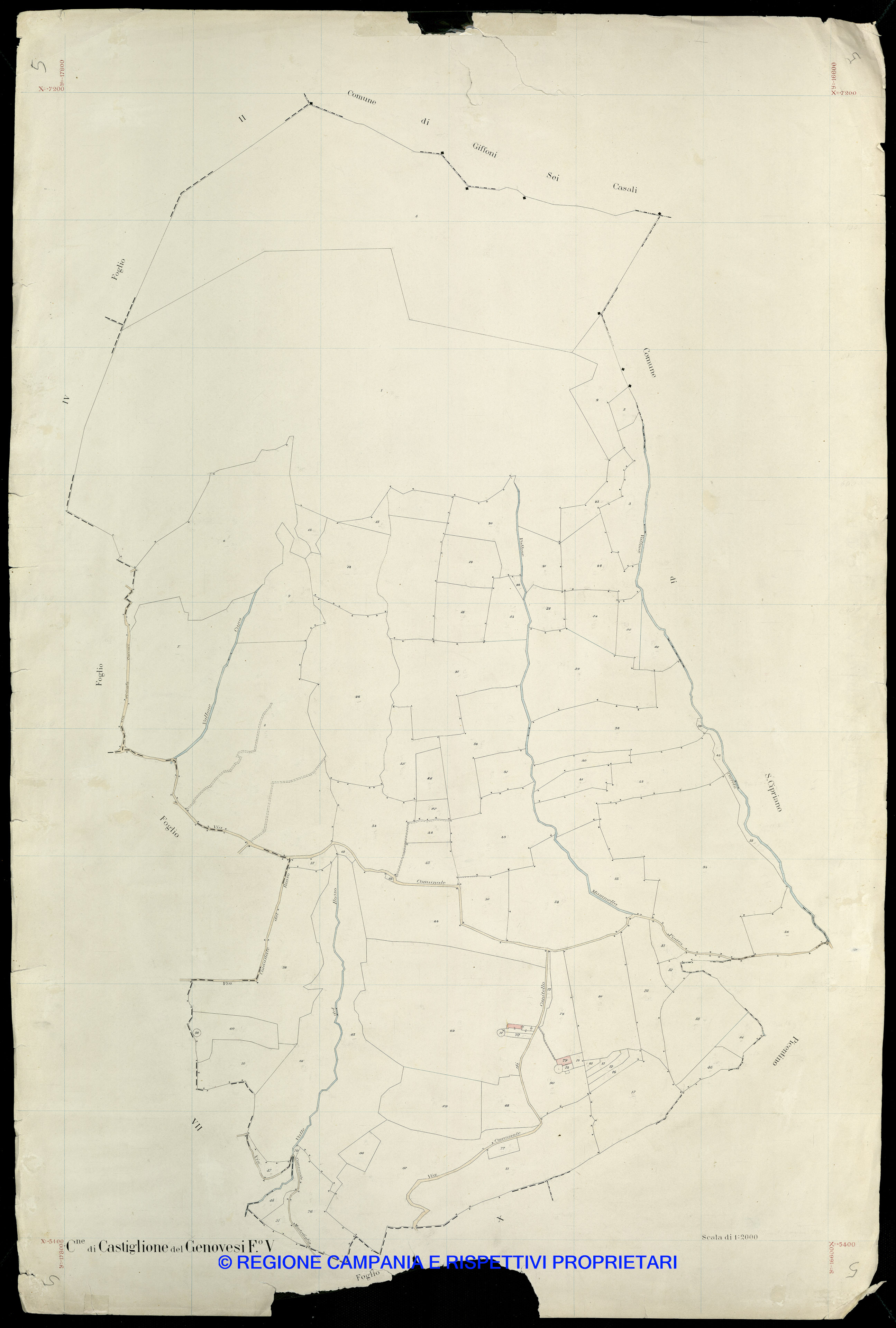 Mappa