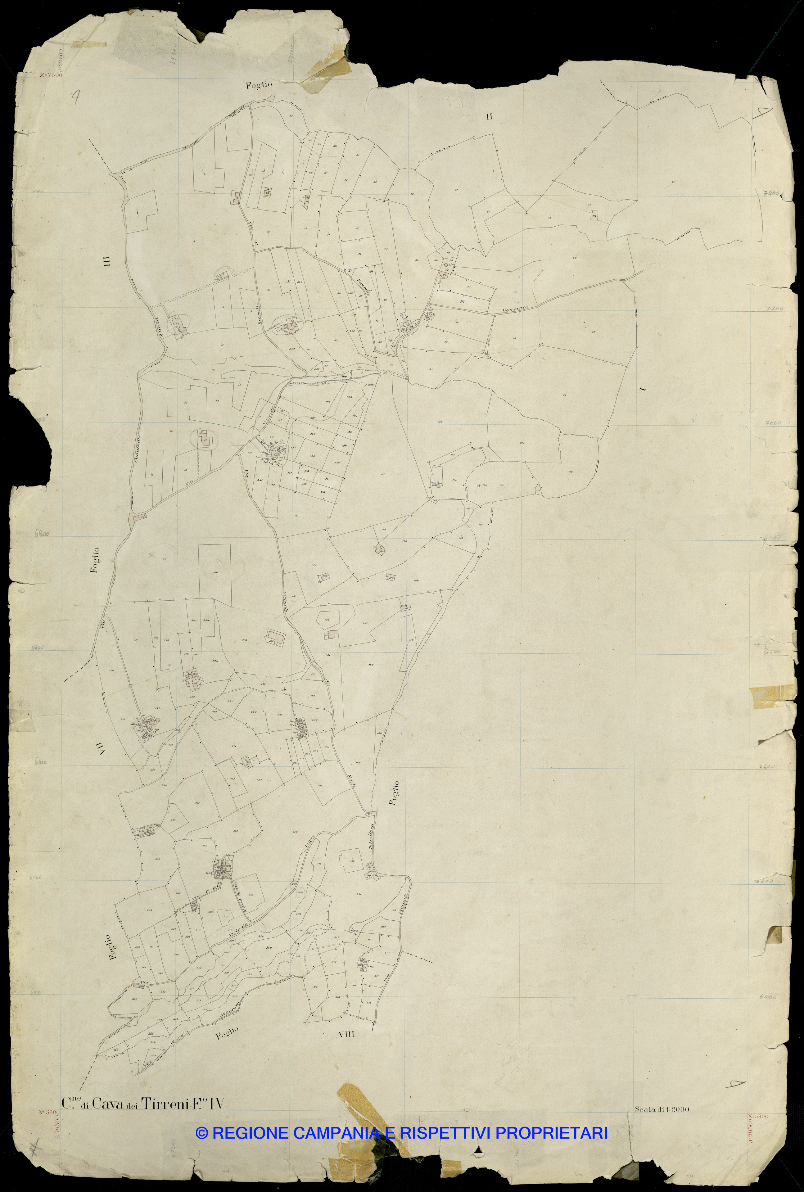 Mappa