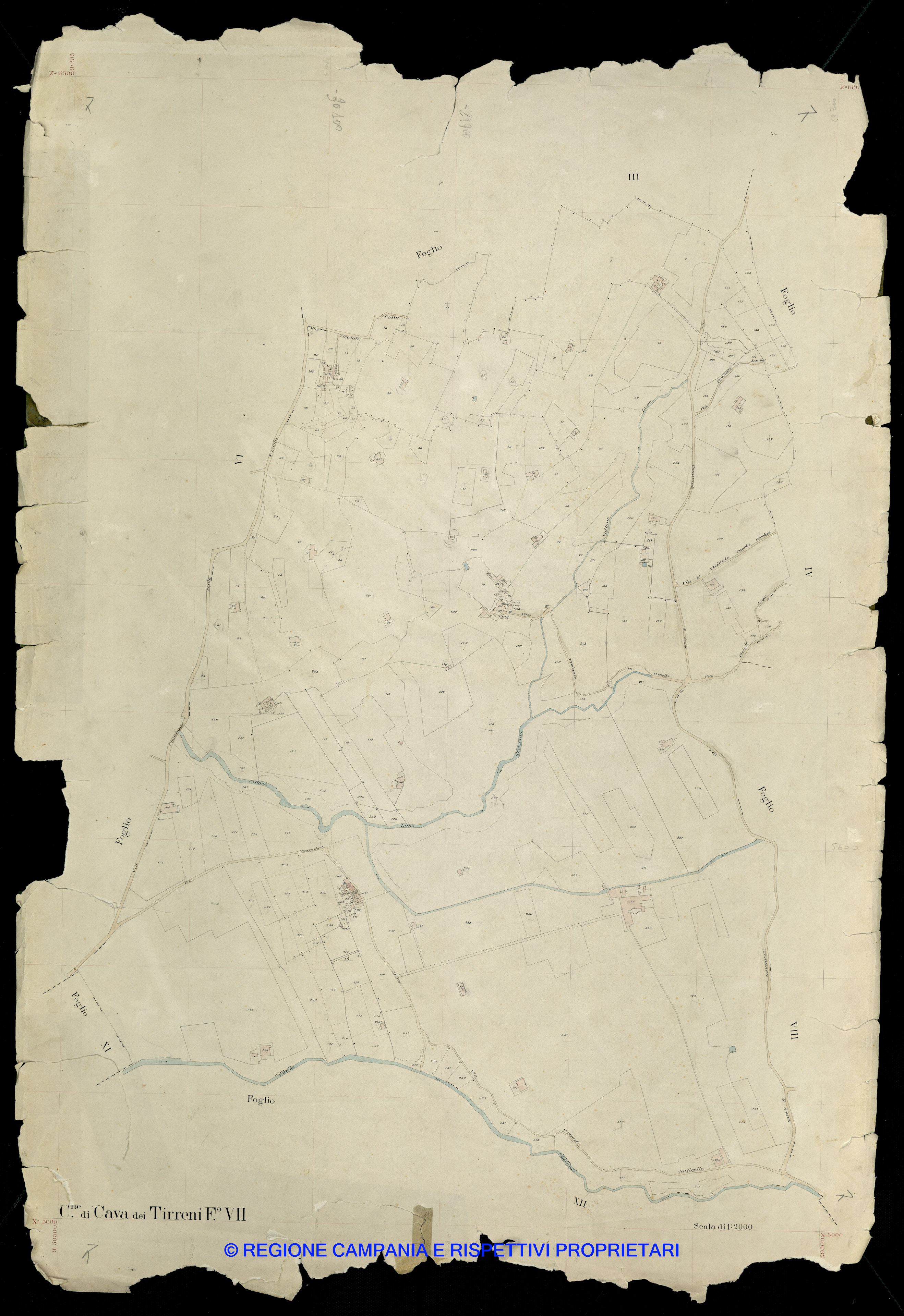 Mappa