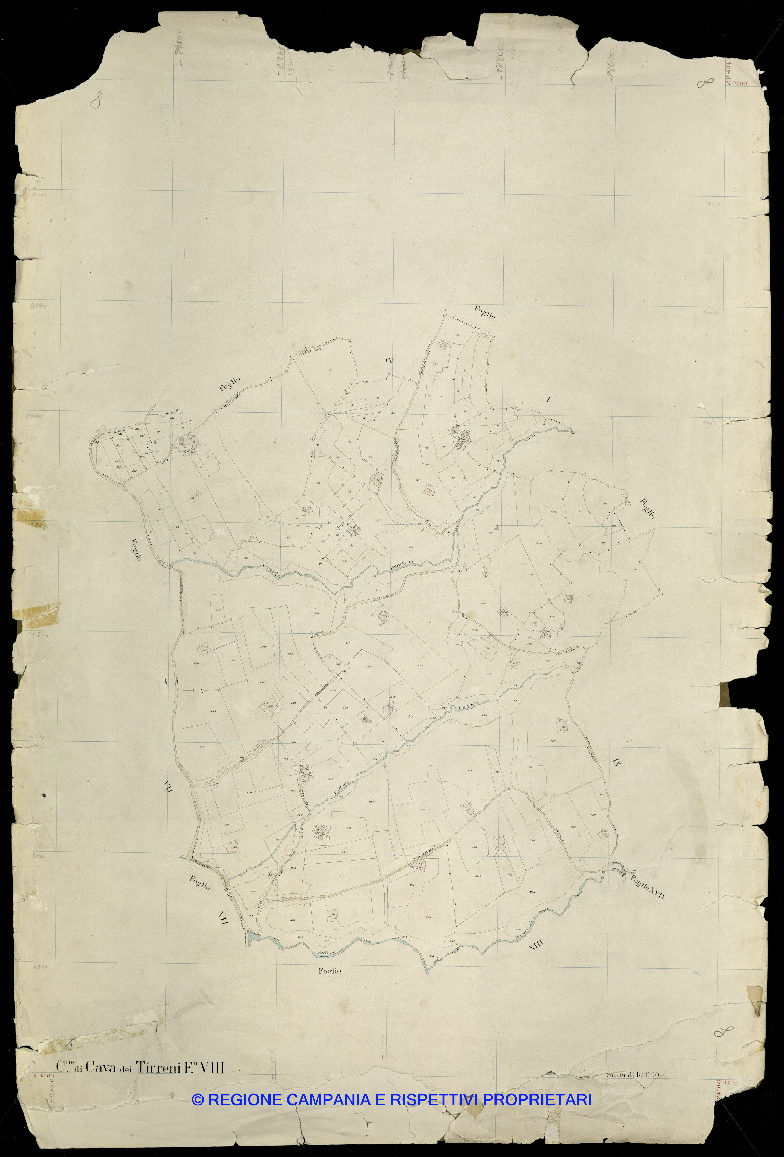 Mappa