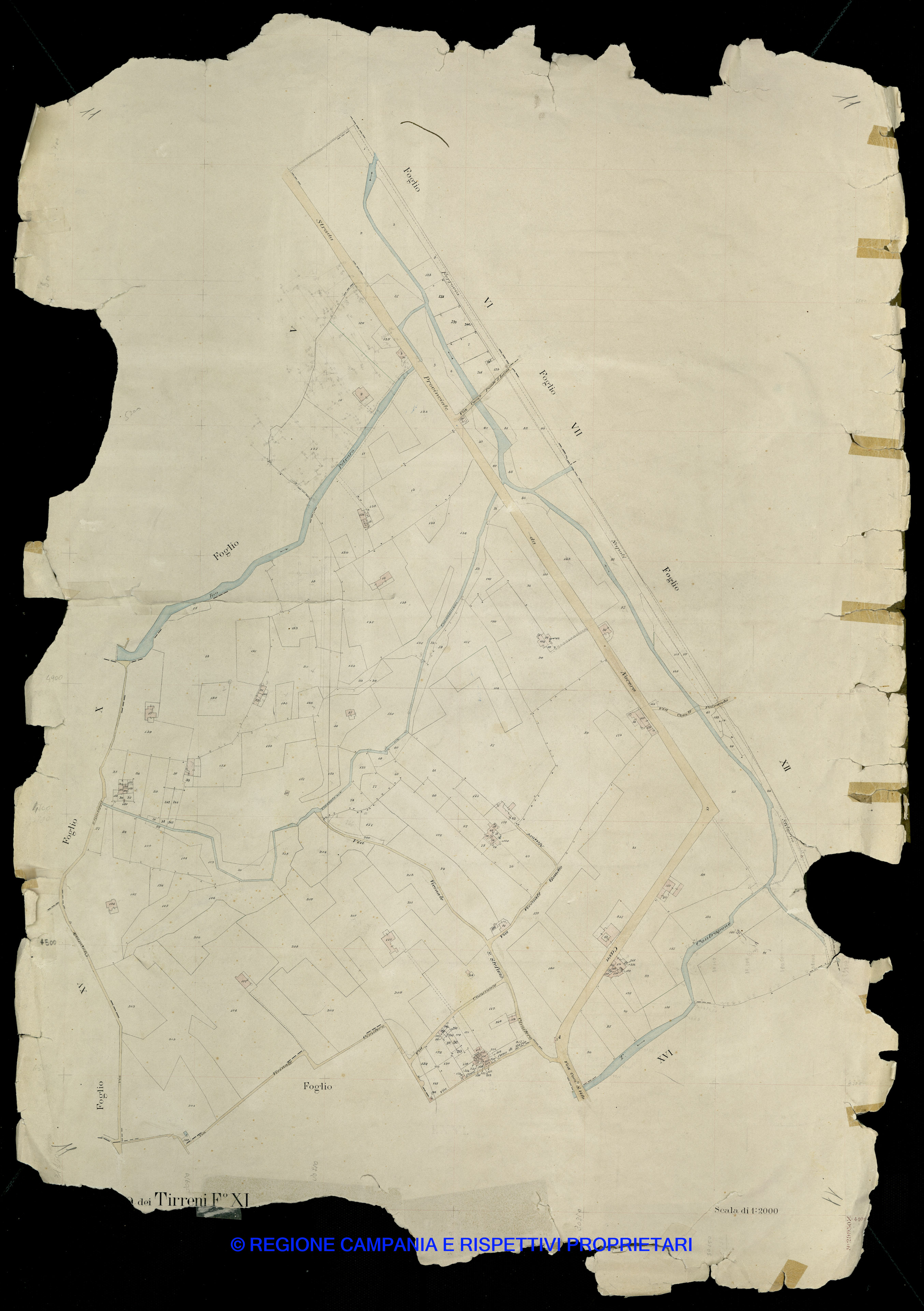 Mappa