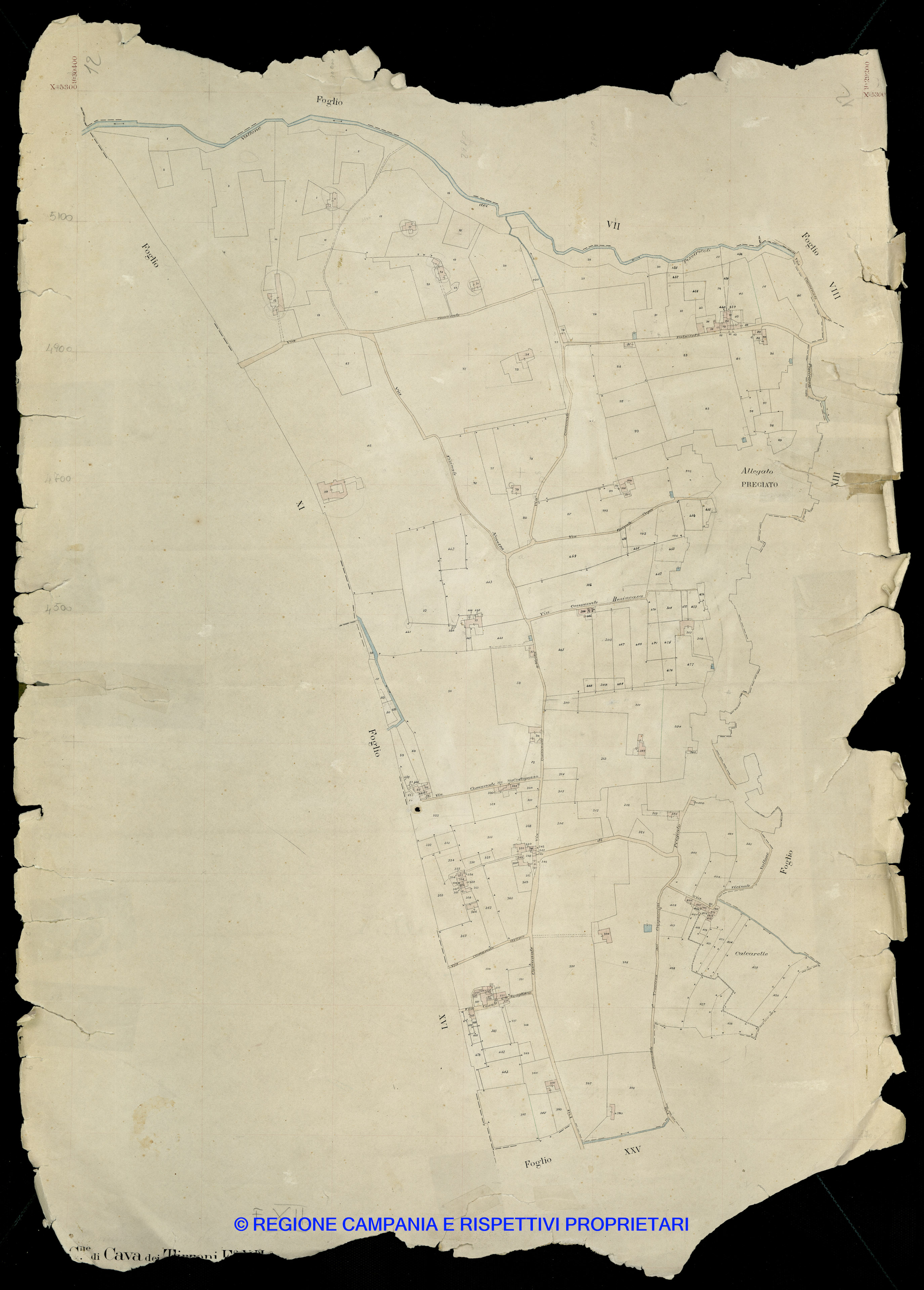 Mappa