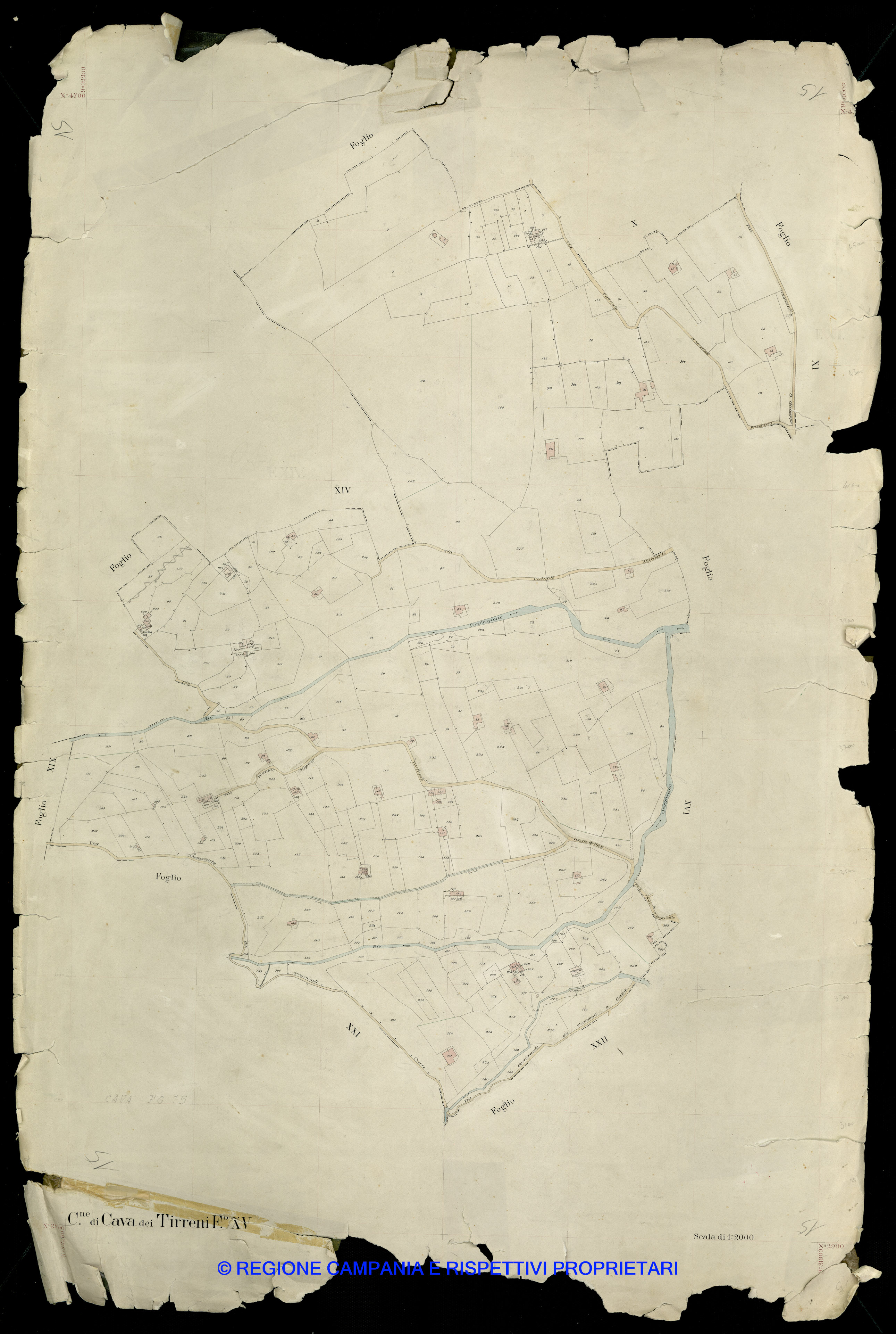 Mappa